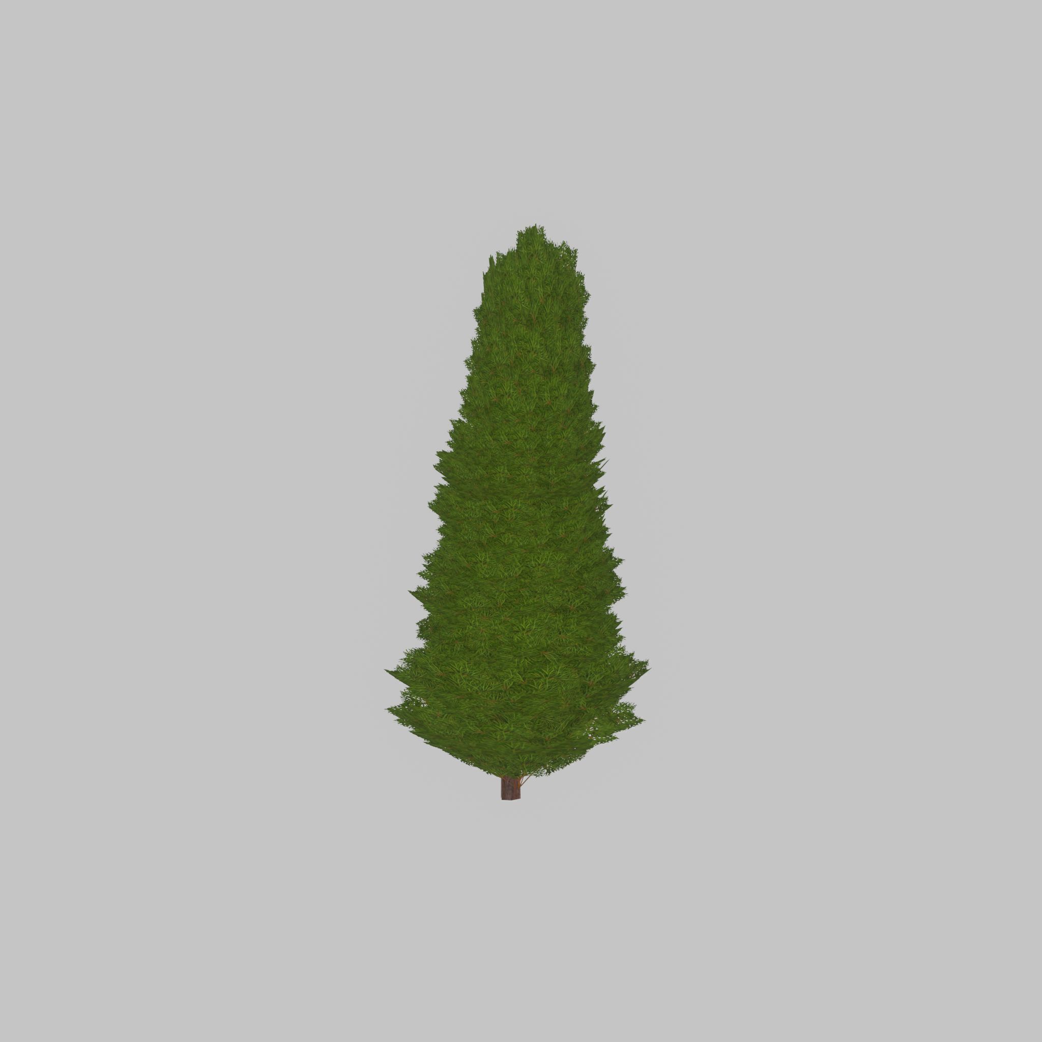 Mock cypress version-2 2000mm Low-poly 3D model_23