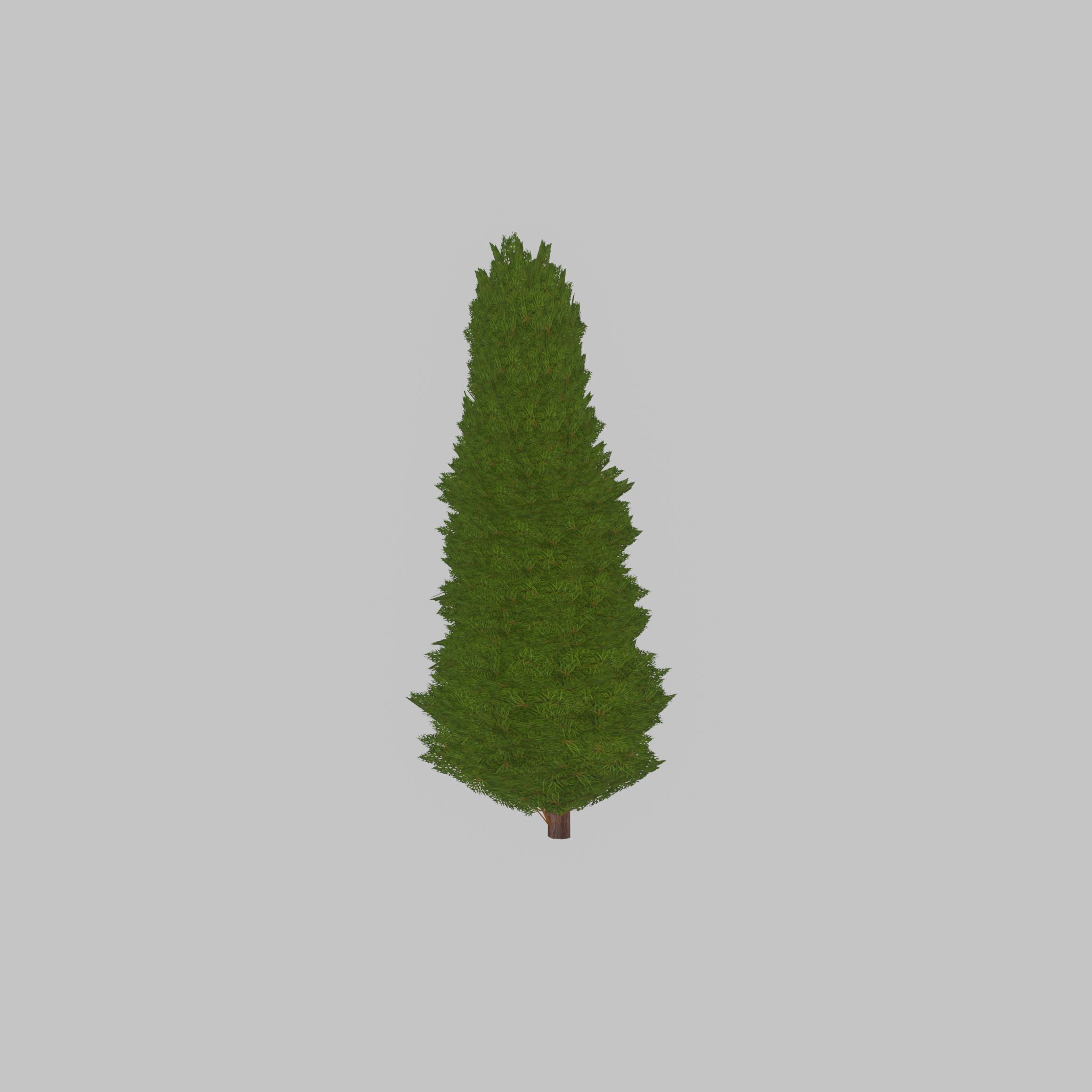 Mock cypress version-2 2000mm Low-poly 3D model_30