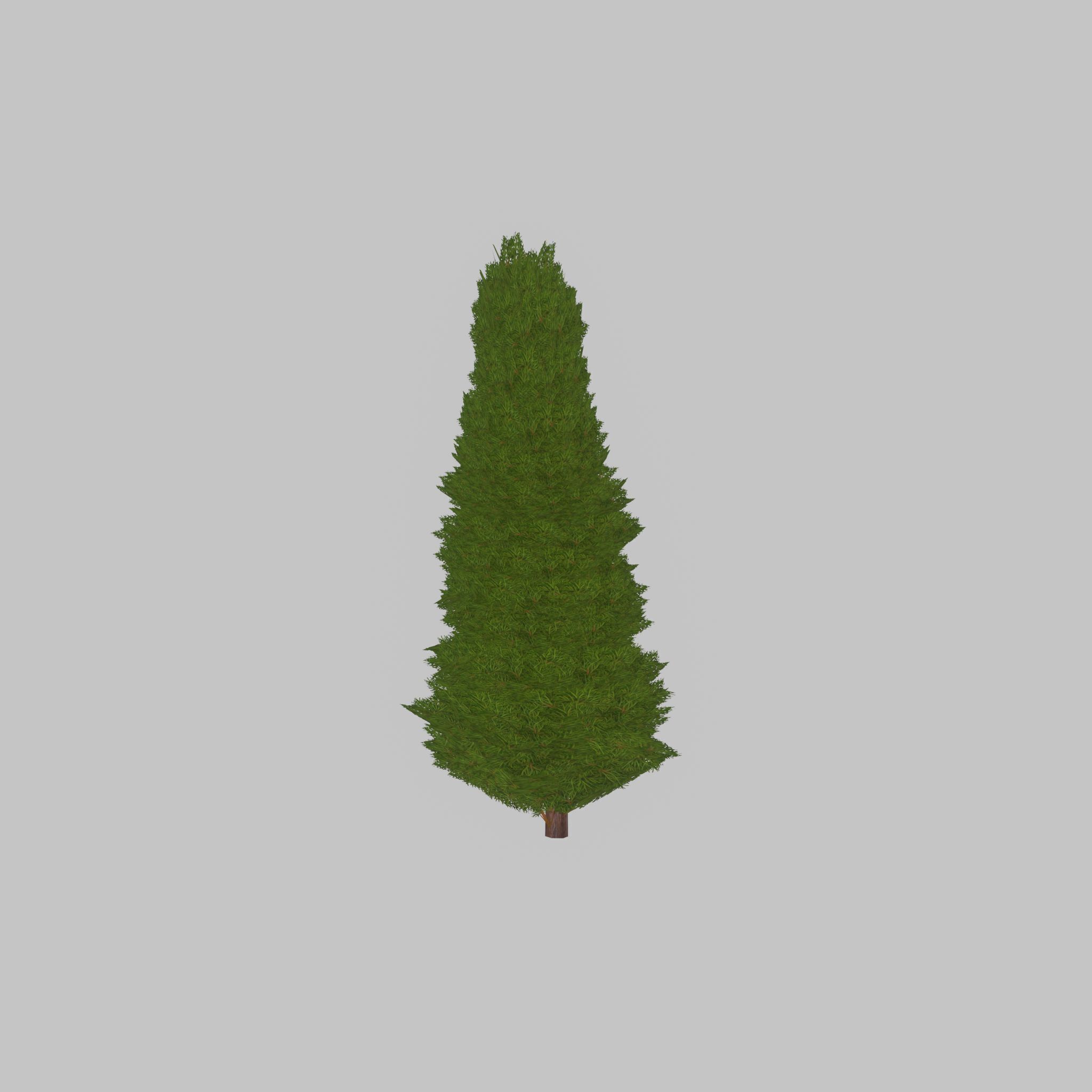 Mock cypress version-2 2000mm Low-poly 3D model_29
