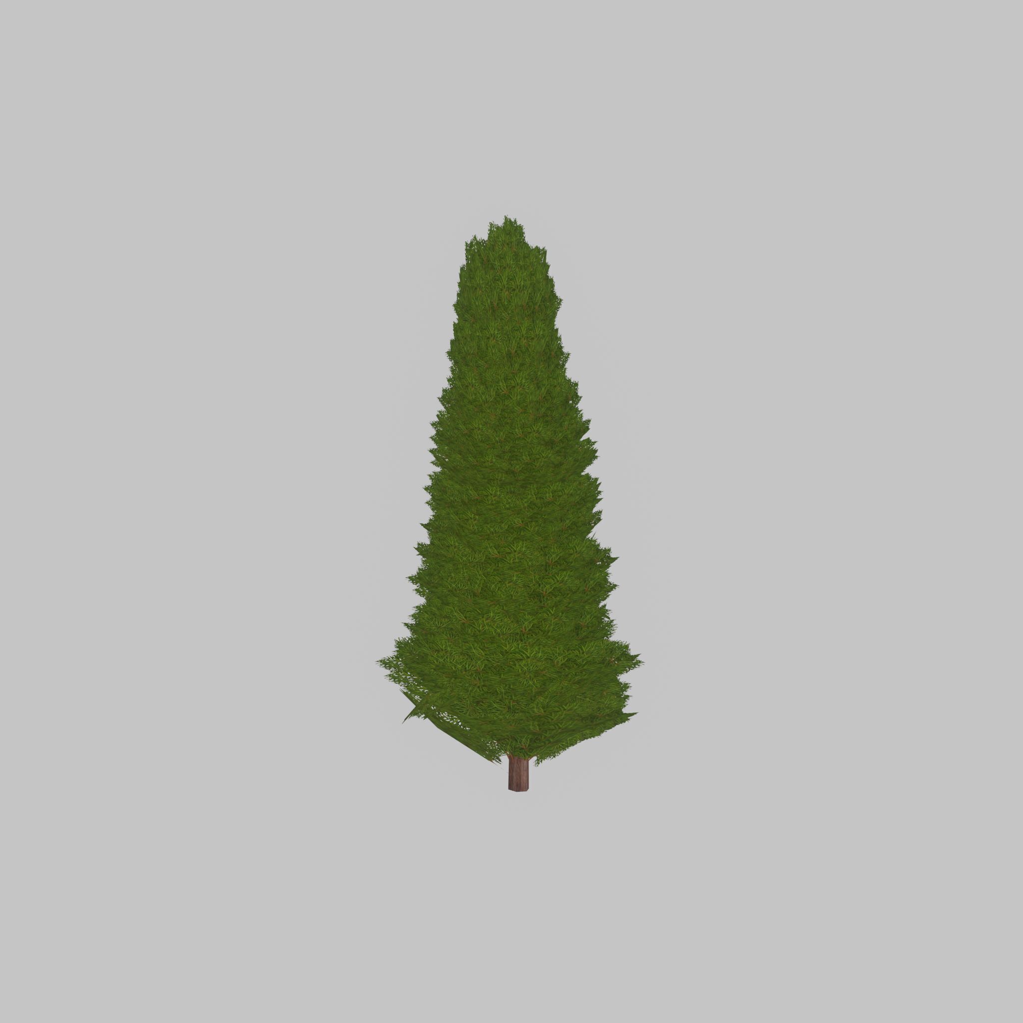 Mock cypress version-2 2000mm Low-poly 3D model_37