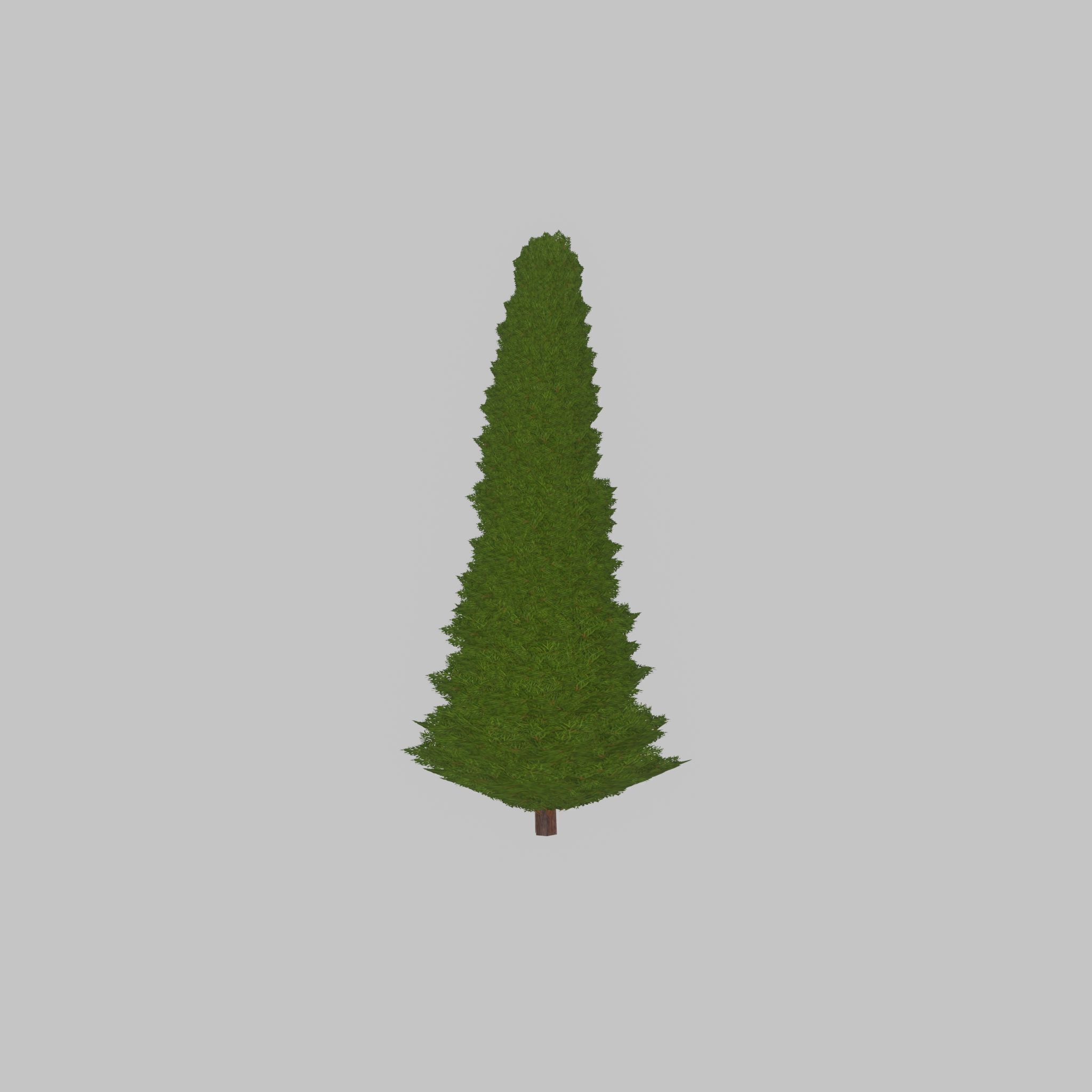 Mock cypress version-3 2000mm Low-poly 3D model_41