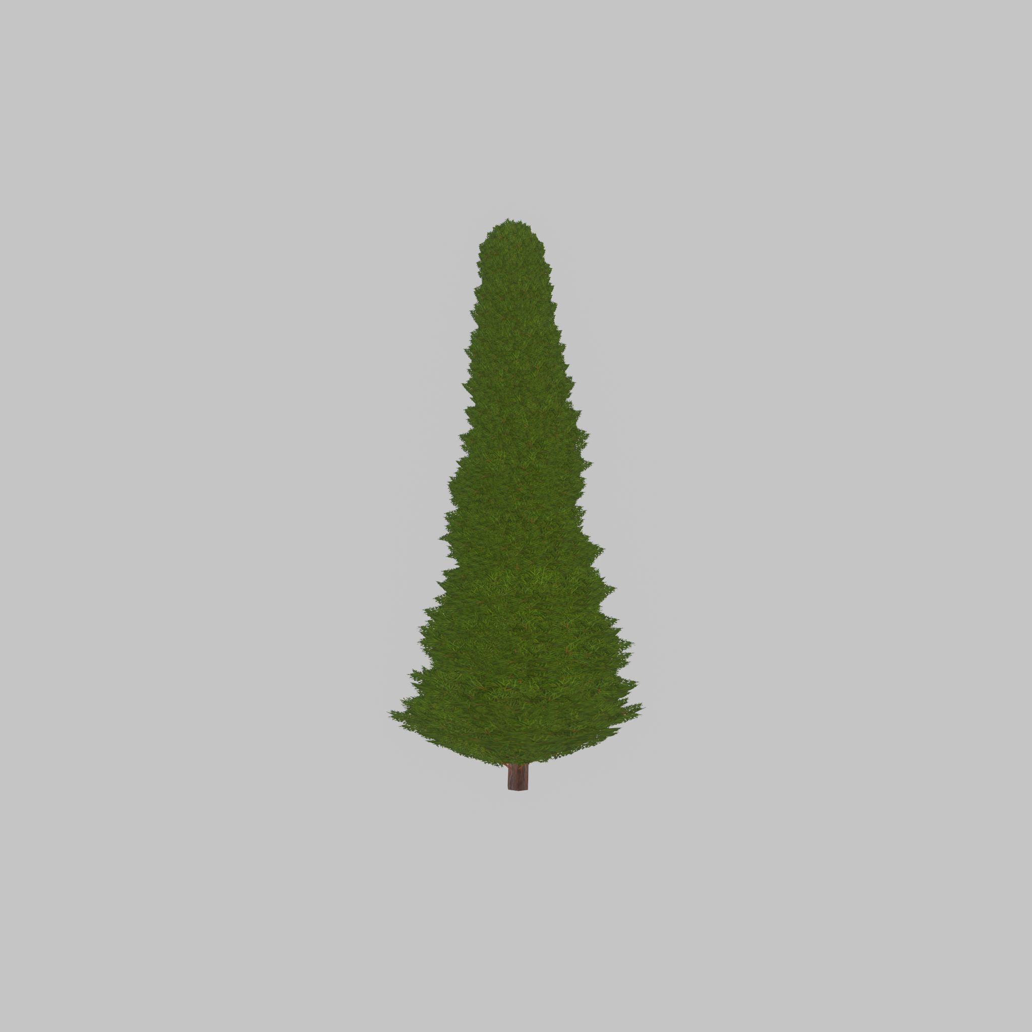 Mock cypress version-3 2000mm Low-poly 3D model_25