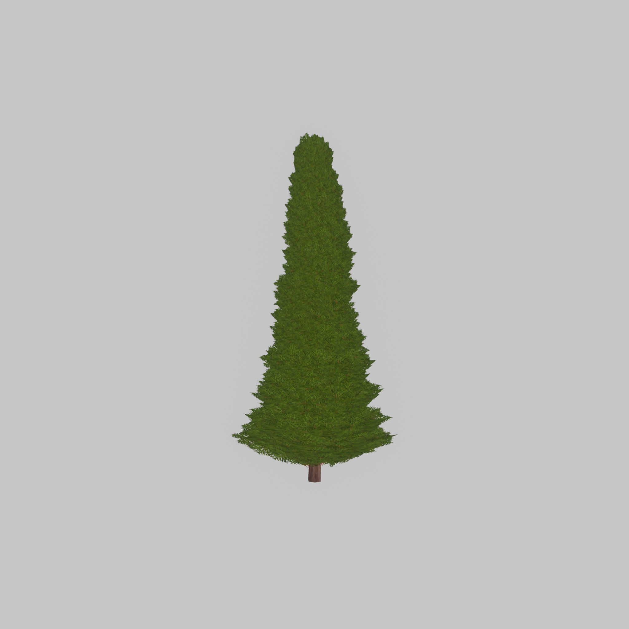 Mock cypress version-3 2000mm Low-poly 3D model_29
