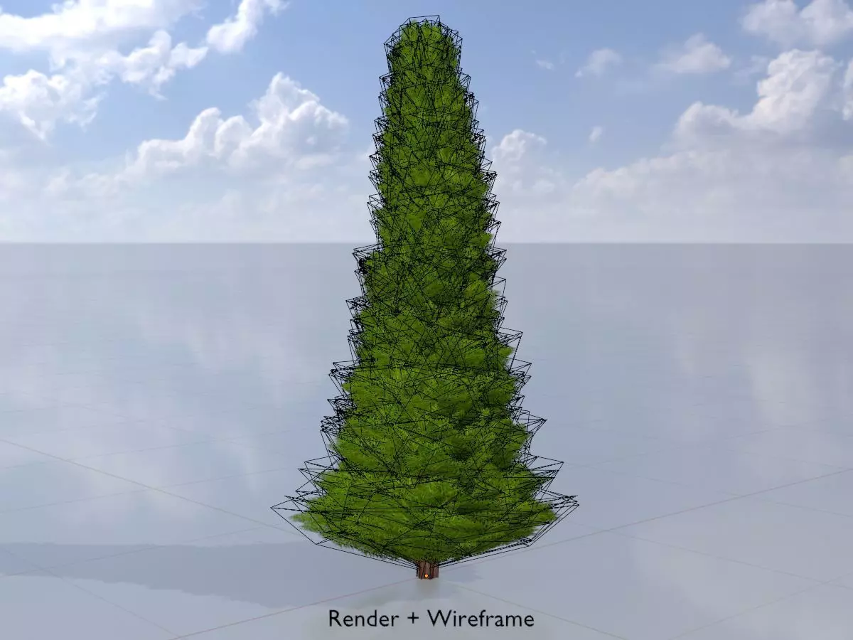 Mock cypress version-3 2000mm Low-poly 3D model_0