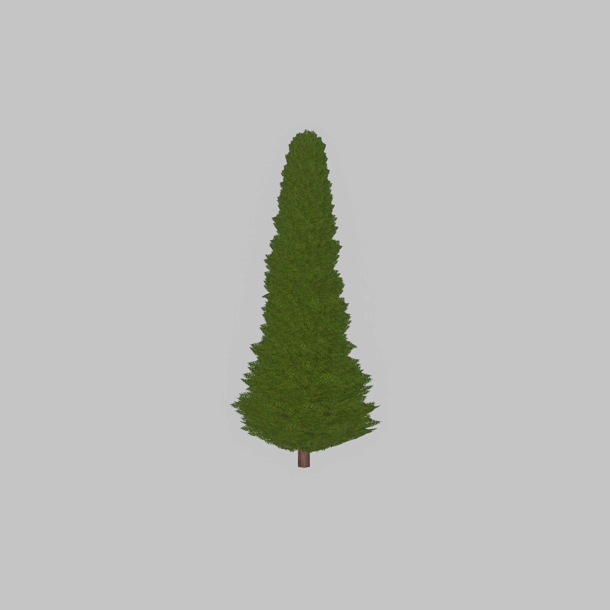 Mock cypress version-3 2000mm Low-poly 3D model_35