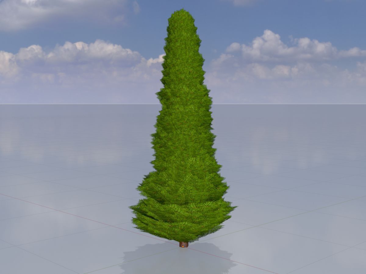 Mock cypress version-3 2000mm Low-poly 3D model_2