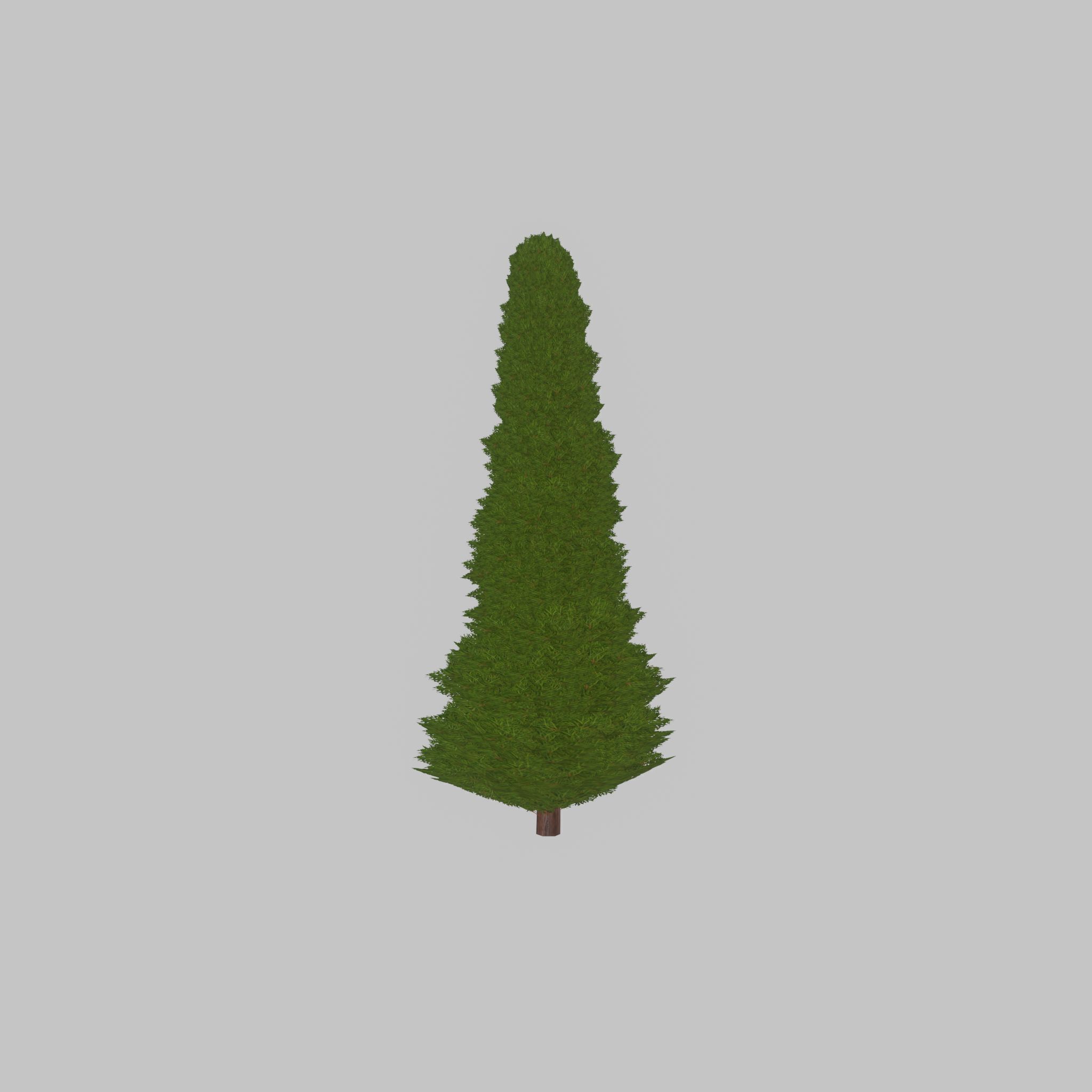 Mock cypress version-3 2000mm Low-poly 3D model_23