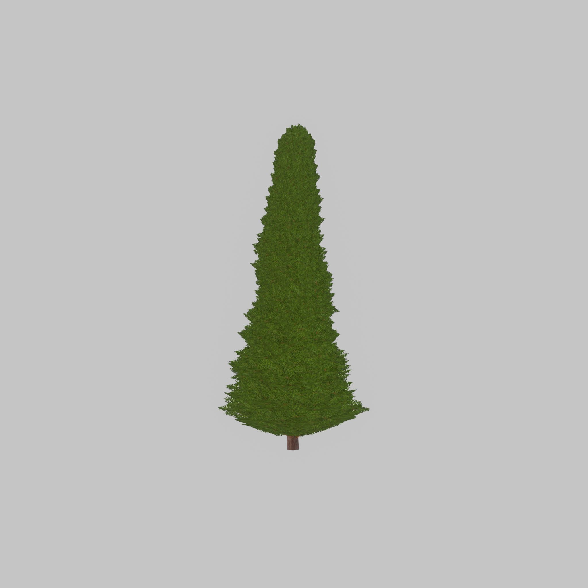 Mock cypress version-3 2000mm Low-poly 3D model_21