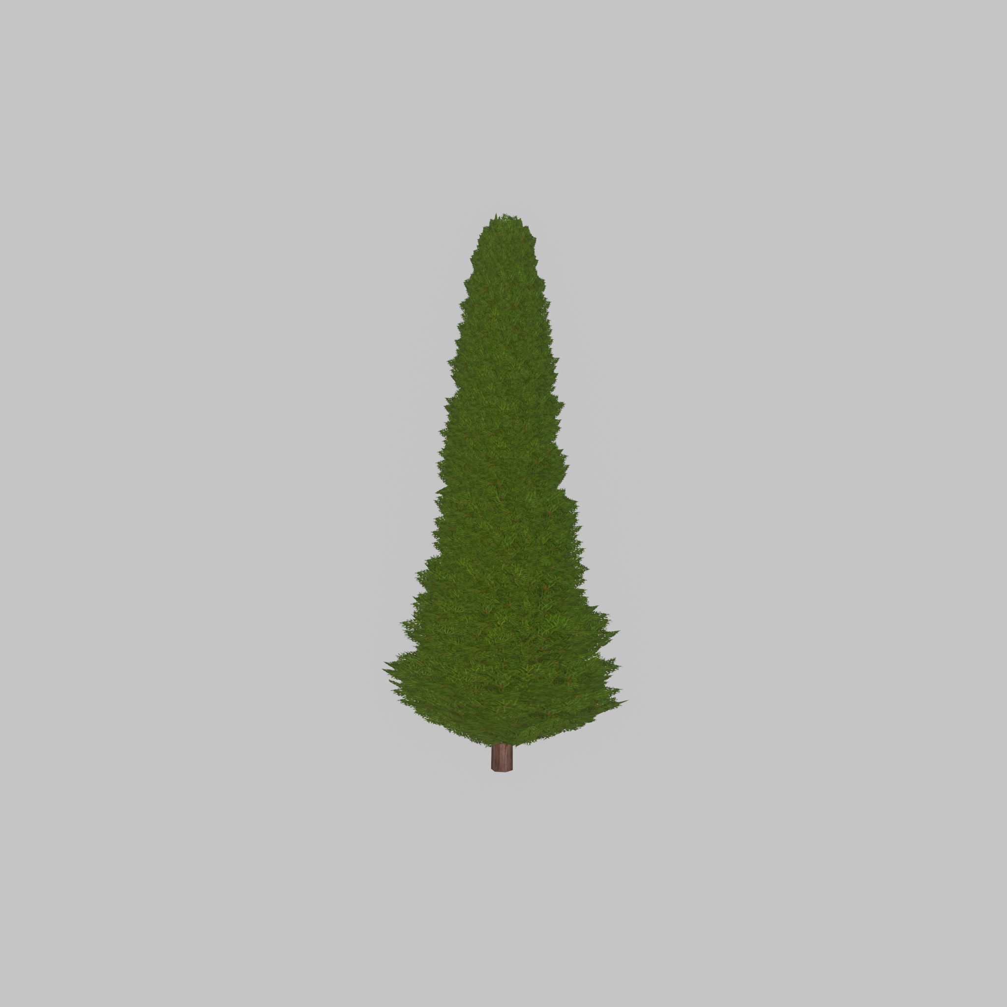 Mock cypress version-3 2000mm Low-poly 3D model_34