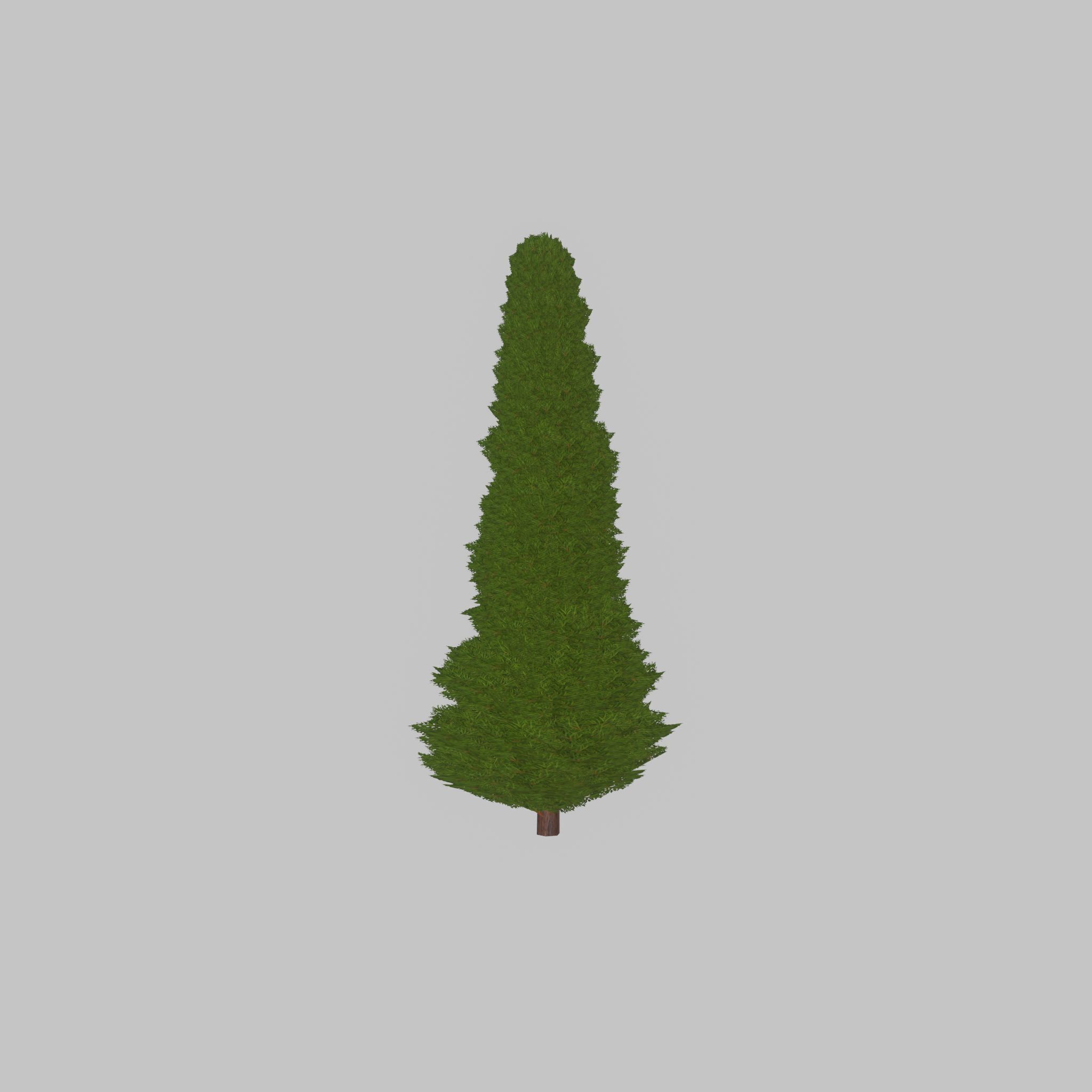 Mock cypress version-3 2000mm Low-poly 3D model_22