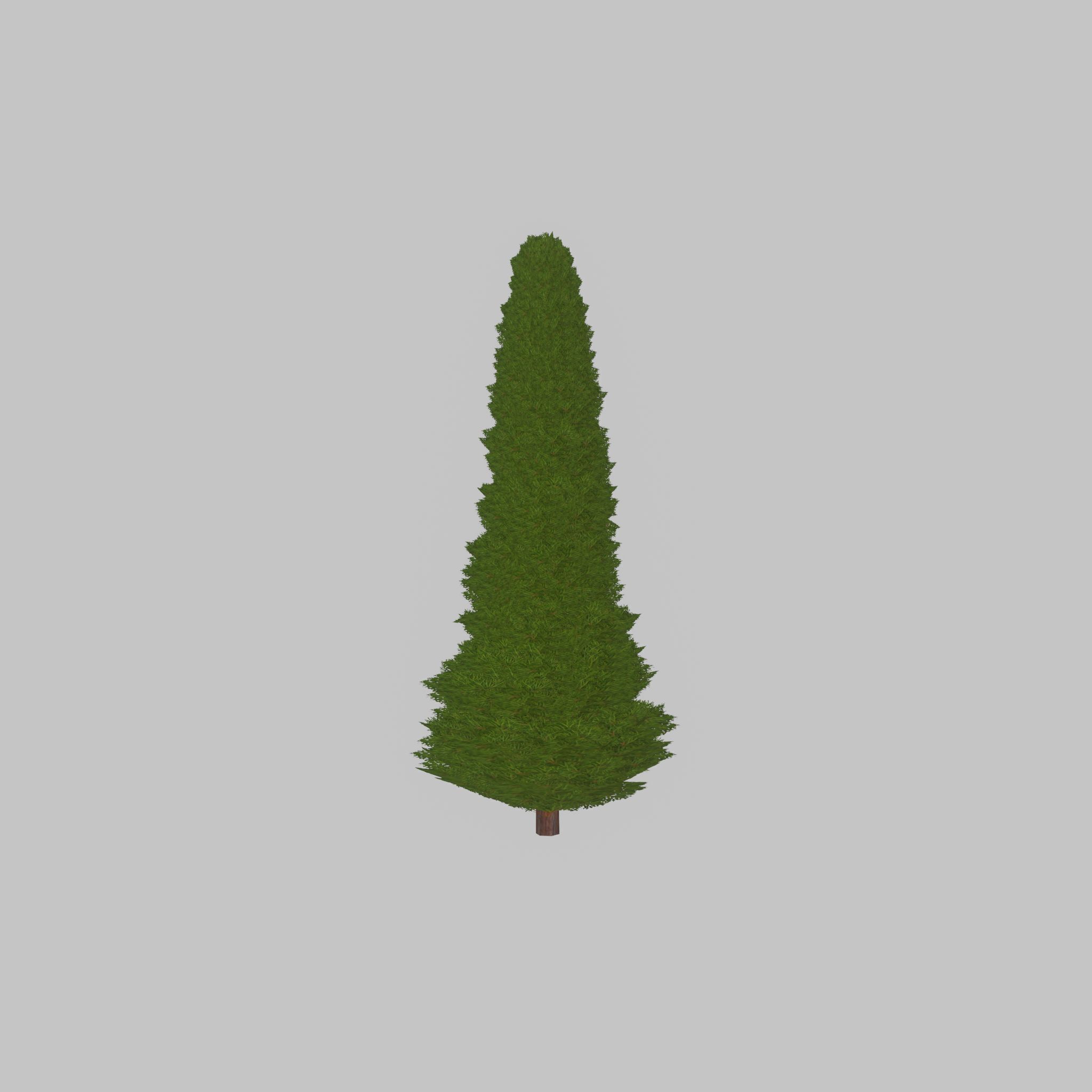 Mock cypress version-3 2000mm Low-poly 3D model_44