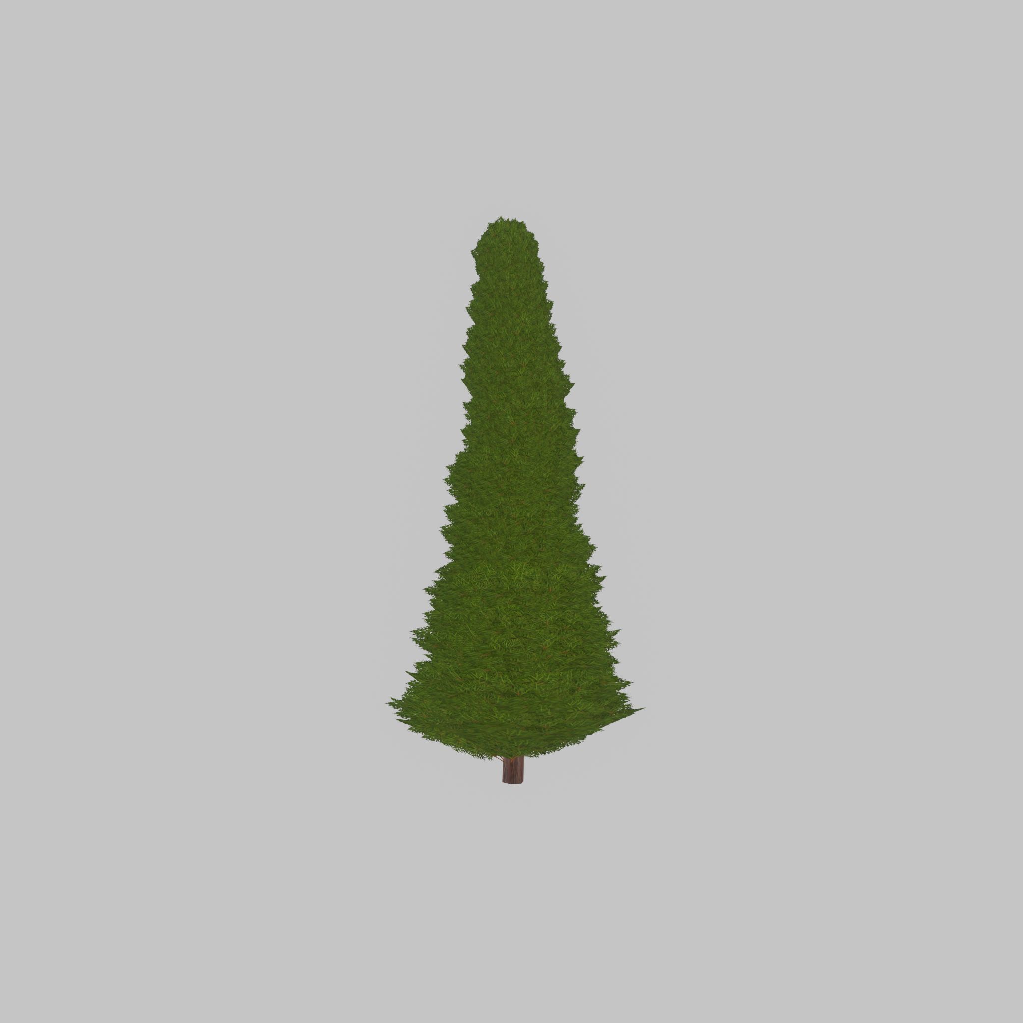 Mock cypress version-3 2000mm Low-poly 3D model_26