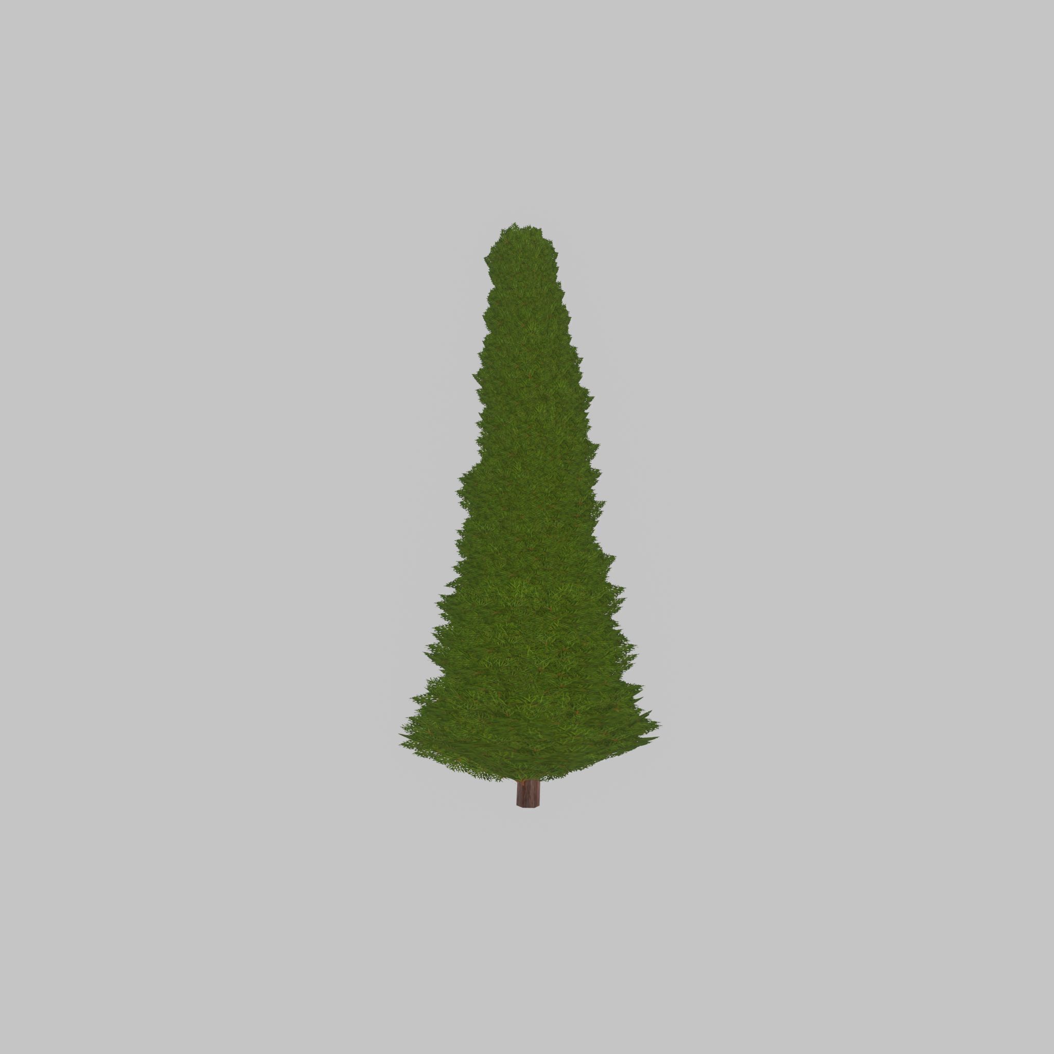 Mock cypress version-3 2000mm Low-poly 3D model_27