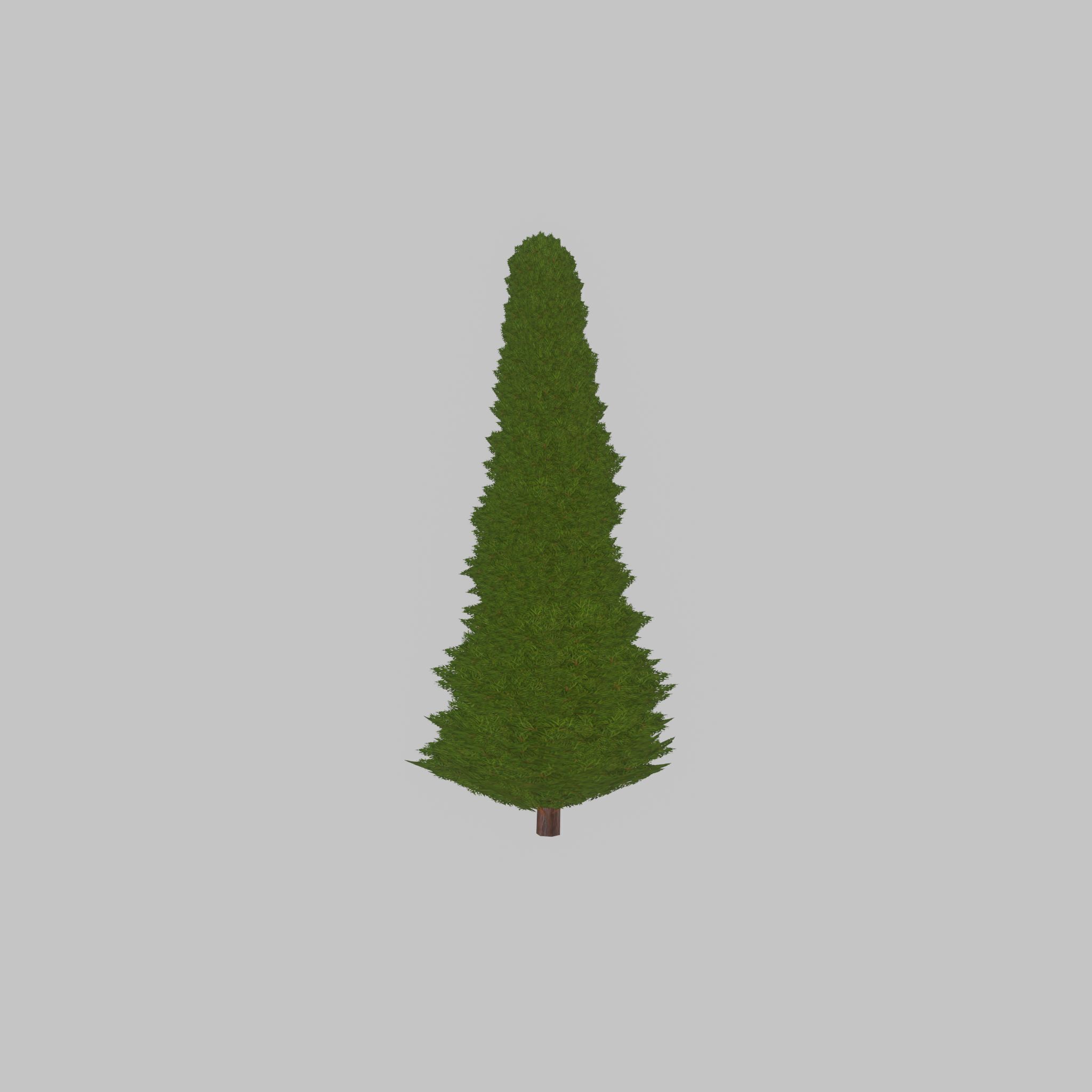 Mock cypress version-3 2000mm Low-poly 3D model_24