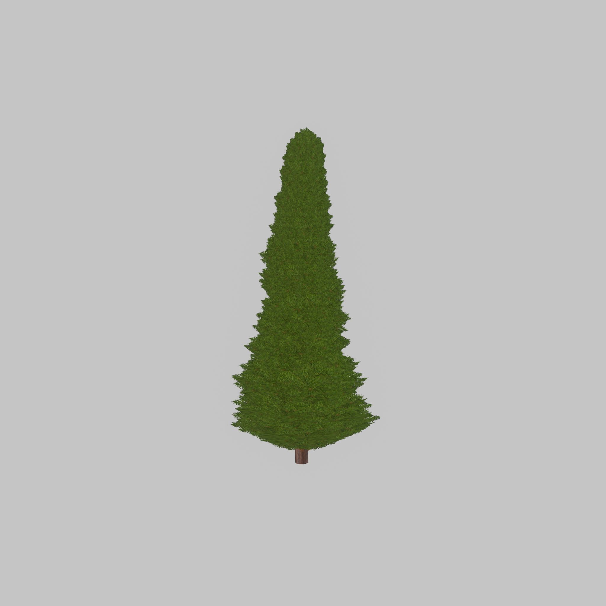 Mock cypress version-3 2000mm Low-poly 3D model_38