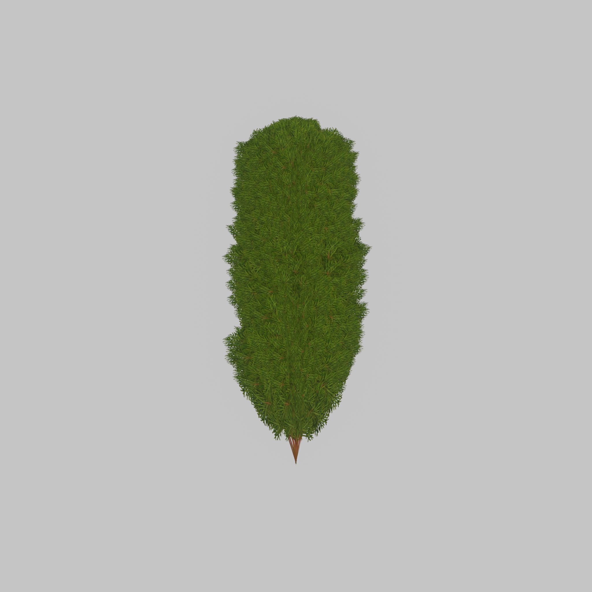 Mock cypress version-4 2000mm Low-poly 3D model_26
