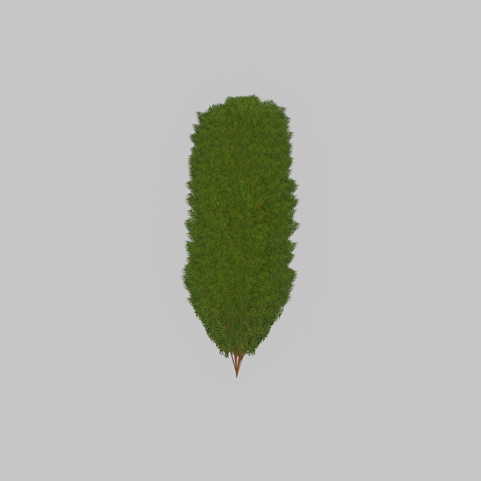 Mock cypress version-4 2000mm Low-poly 3D model_30
