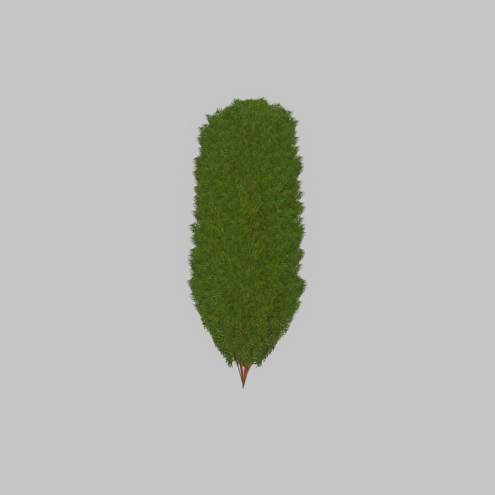 Mock cypress version-4 2000mm Low-poly 3D model_31