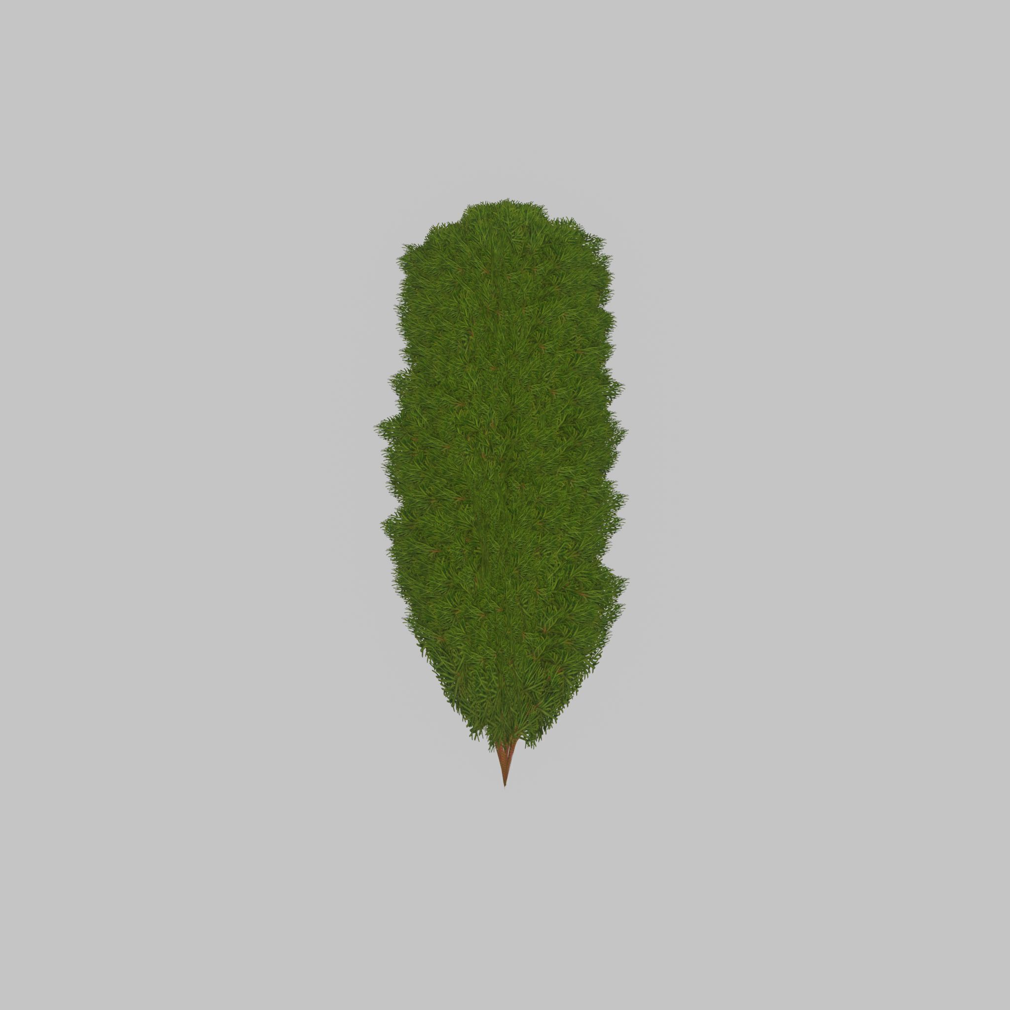 Mock cypress version-4 2000mm Low-poly 3D model_32