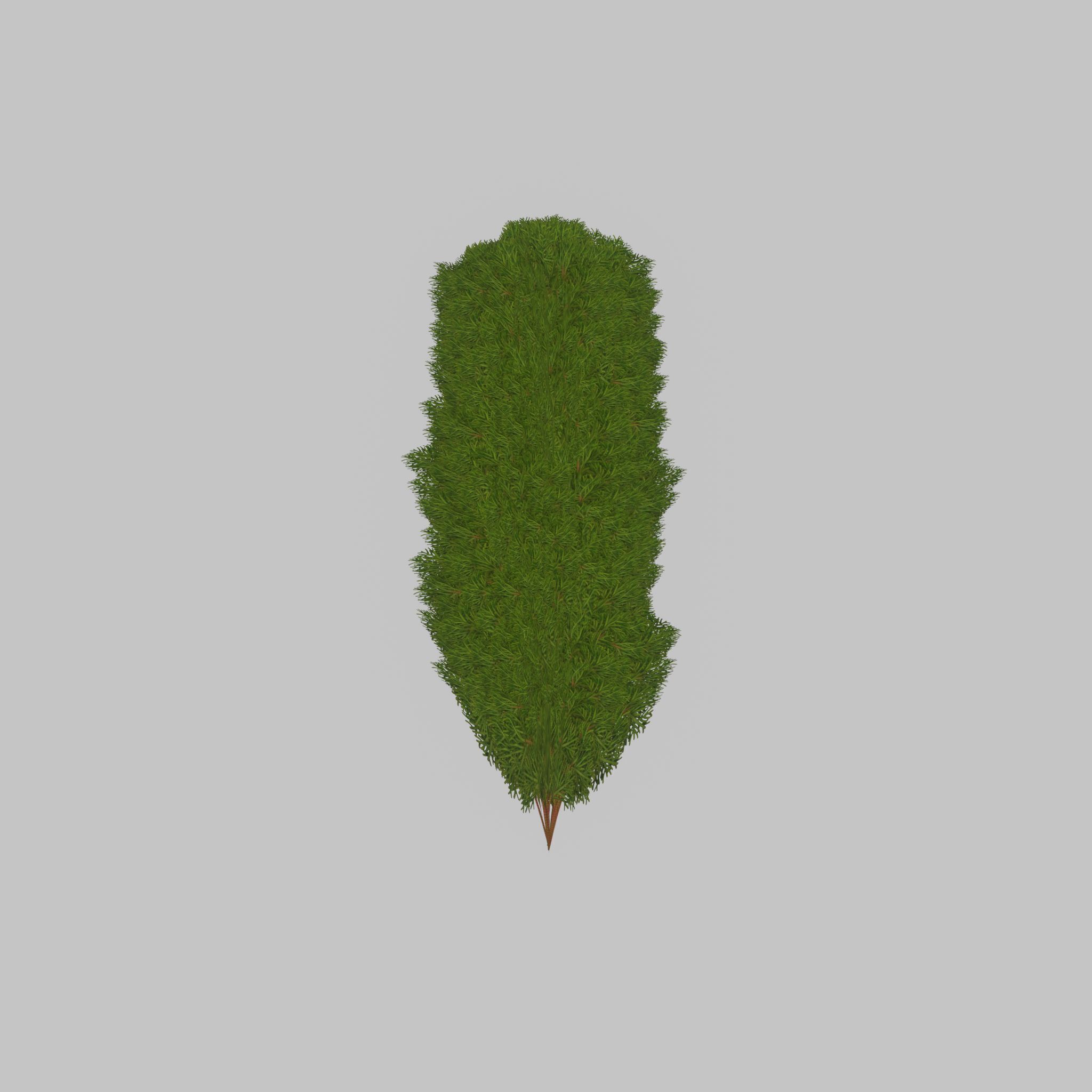 Mock cypress version-4 2000mm Low-poly 3D model_39