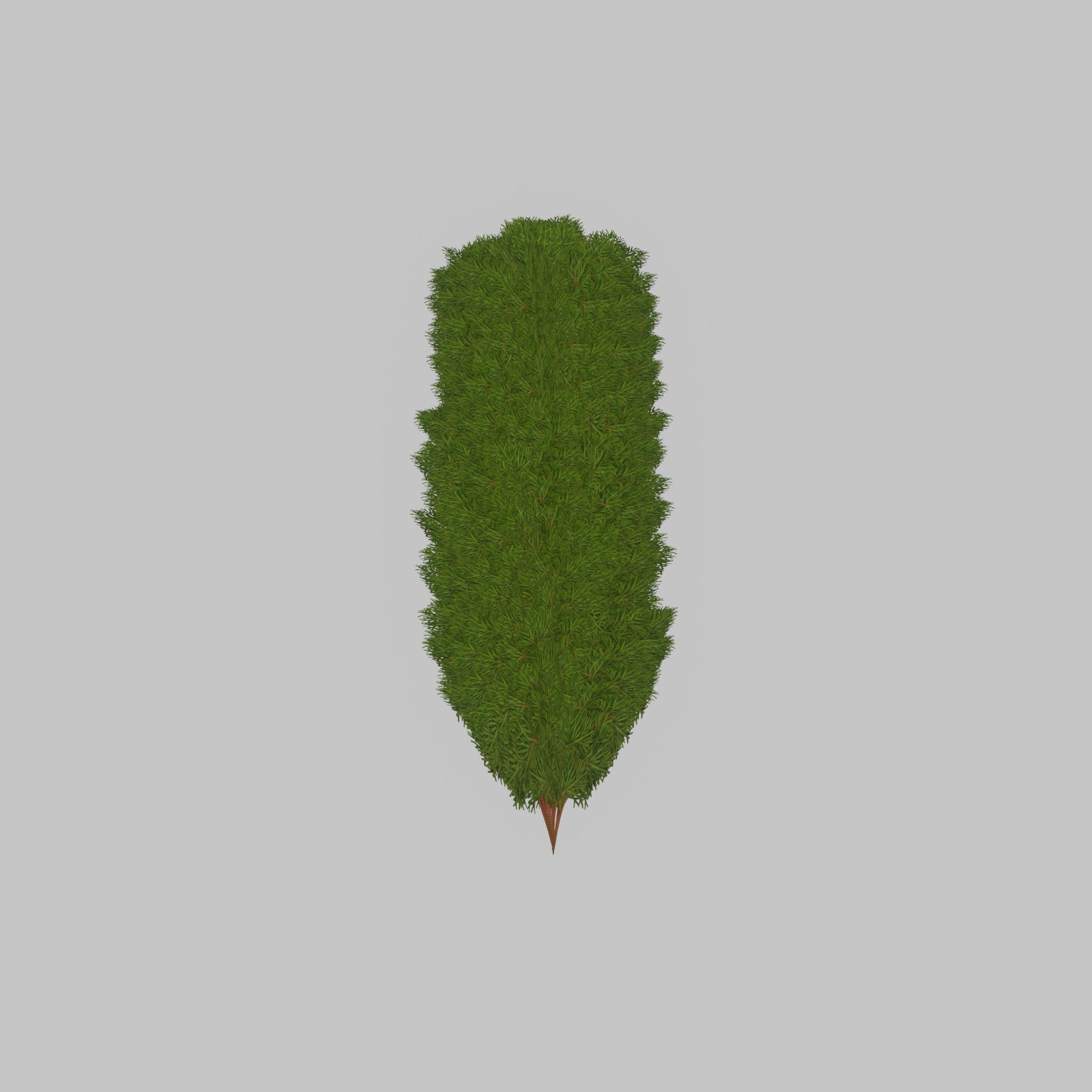 Mock cypress version-4 2000mm Low-poly 3D model_41