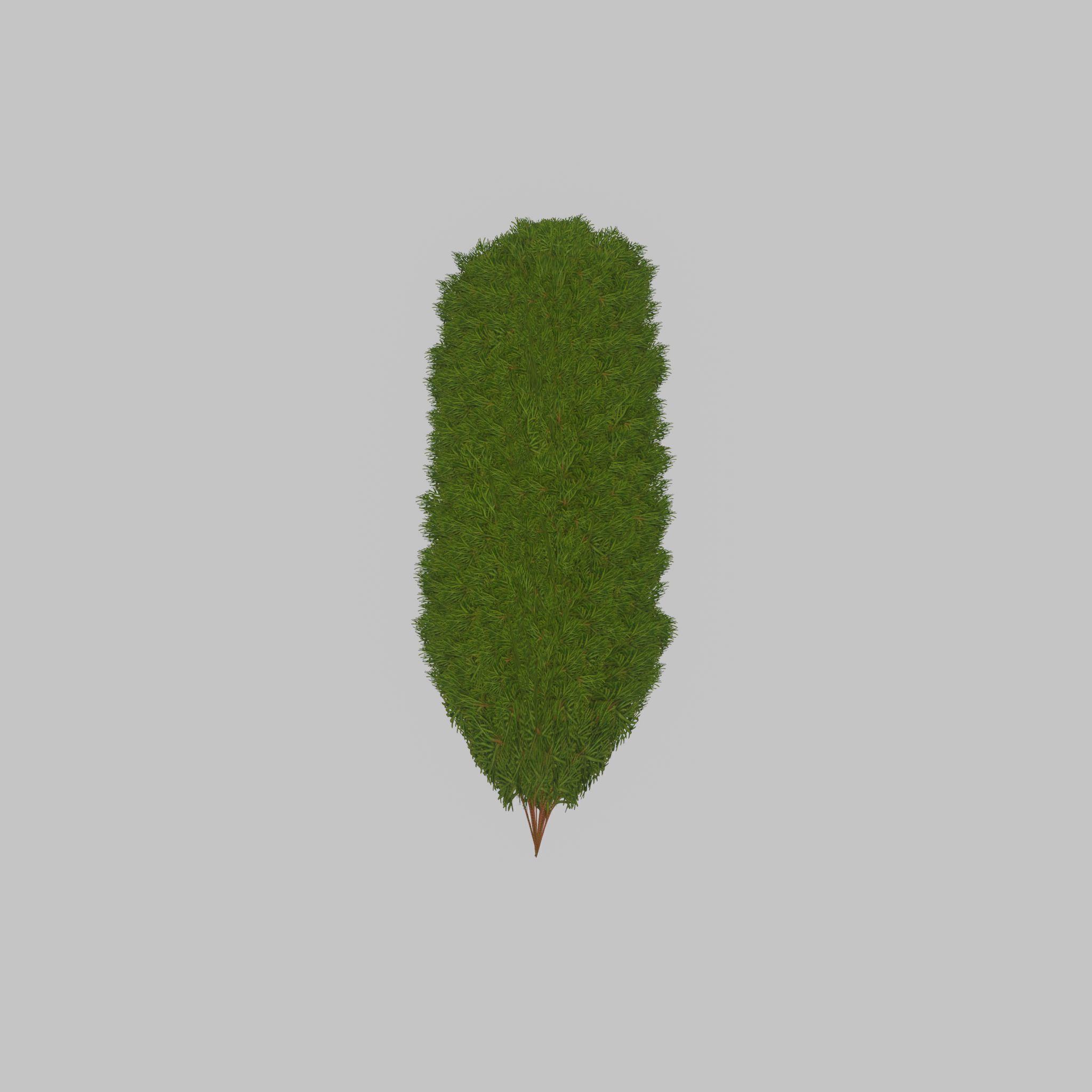 Mock cypress version-4 2000mm Low-poly 3D model_33