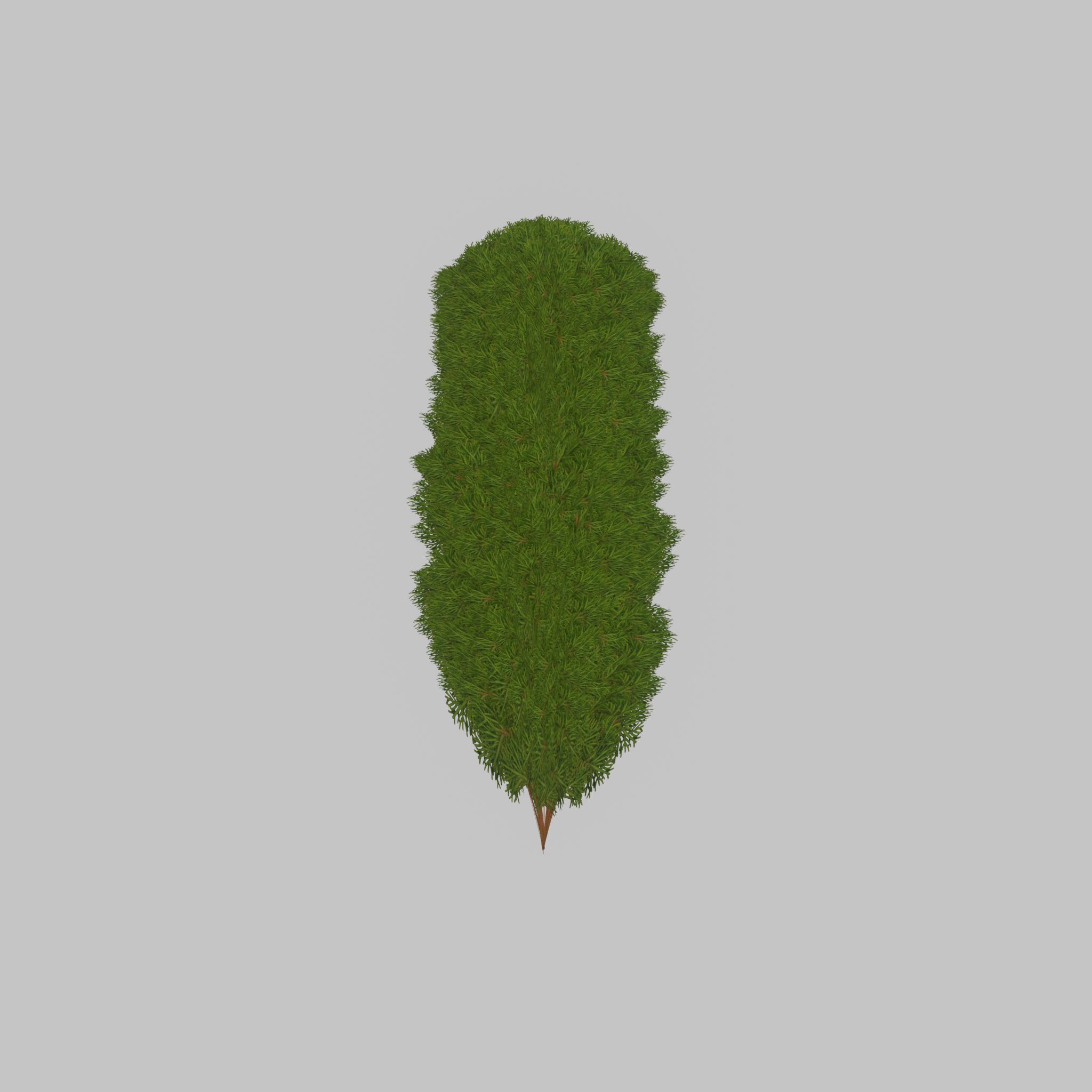 Mock cypress version-4 2000mm Low-poly 3D model_21