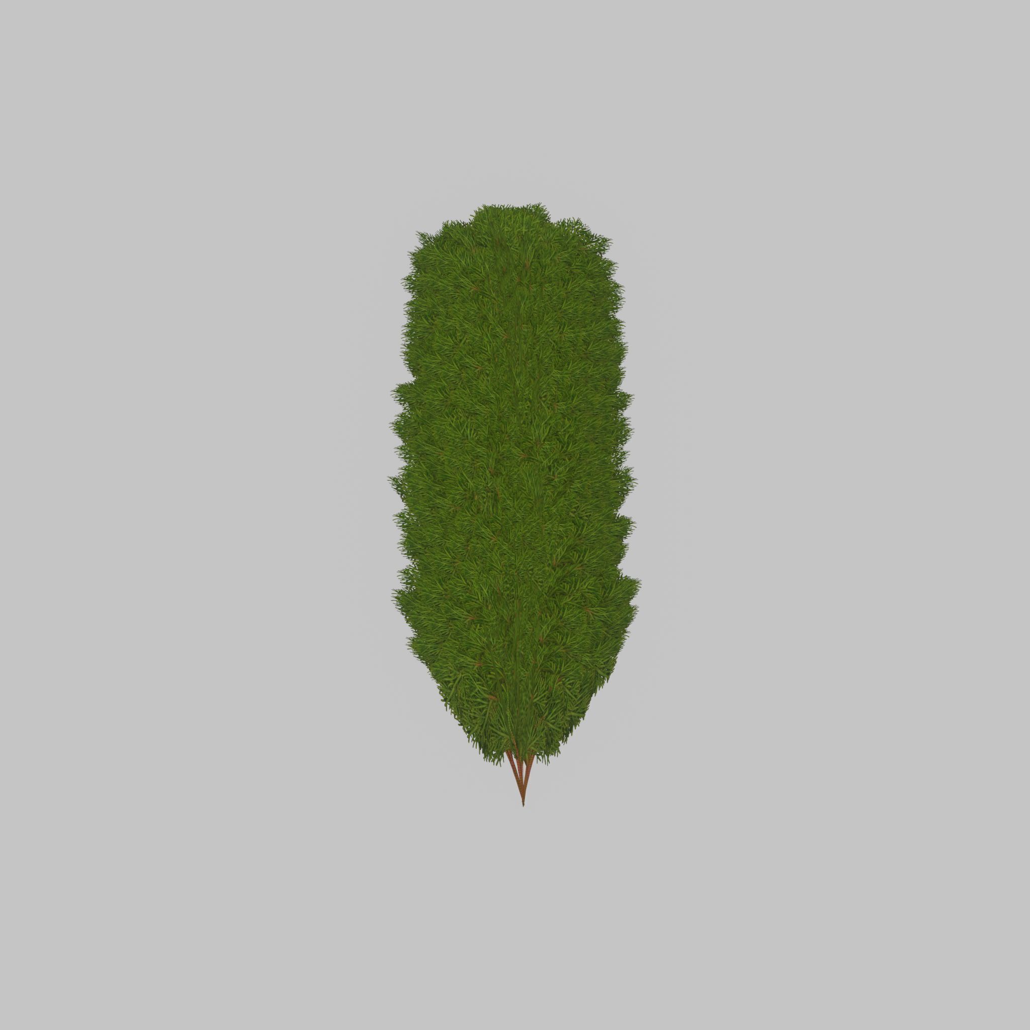 Mock cypress version-4 2000mm Low-poly 3D model_42
