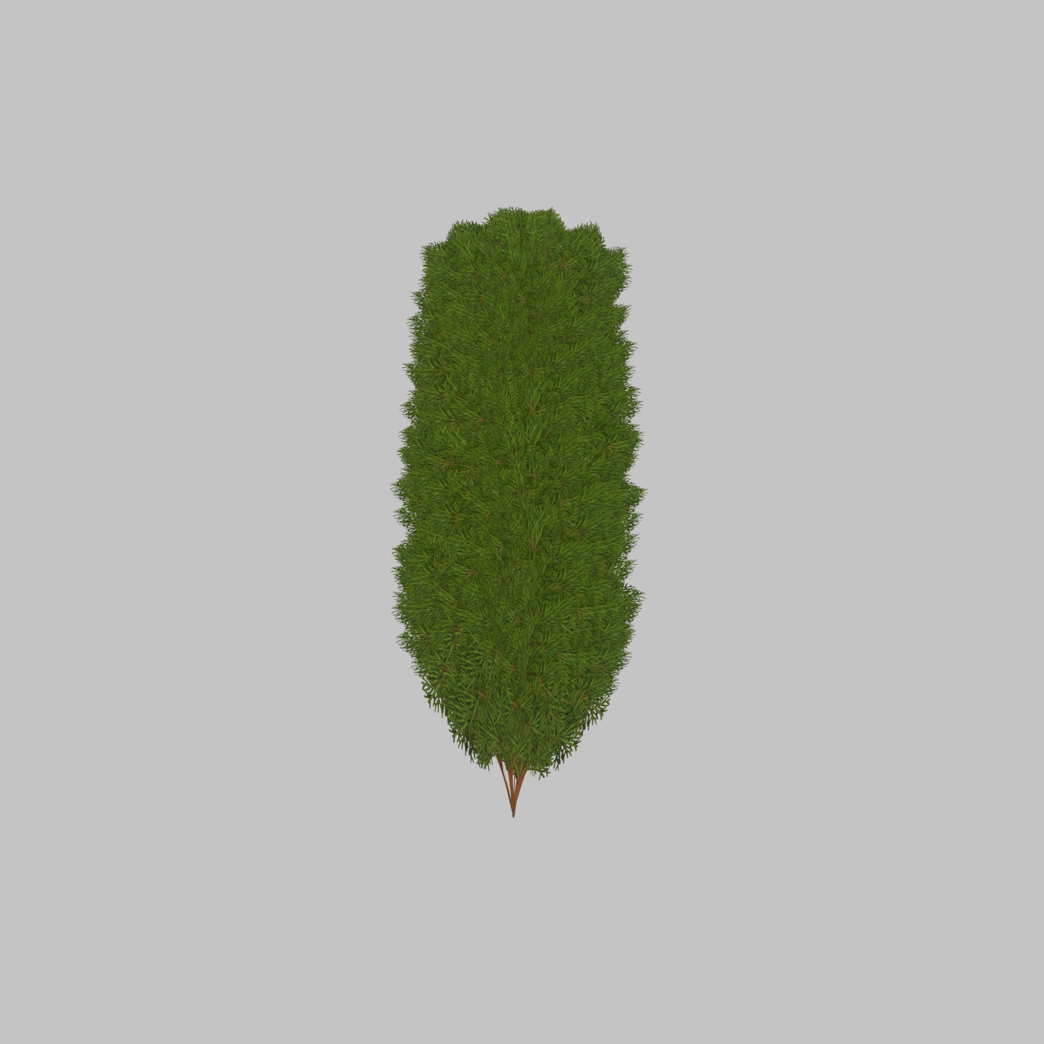 Mock cypress version-4 2000mm Low-poly 3D model_36