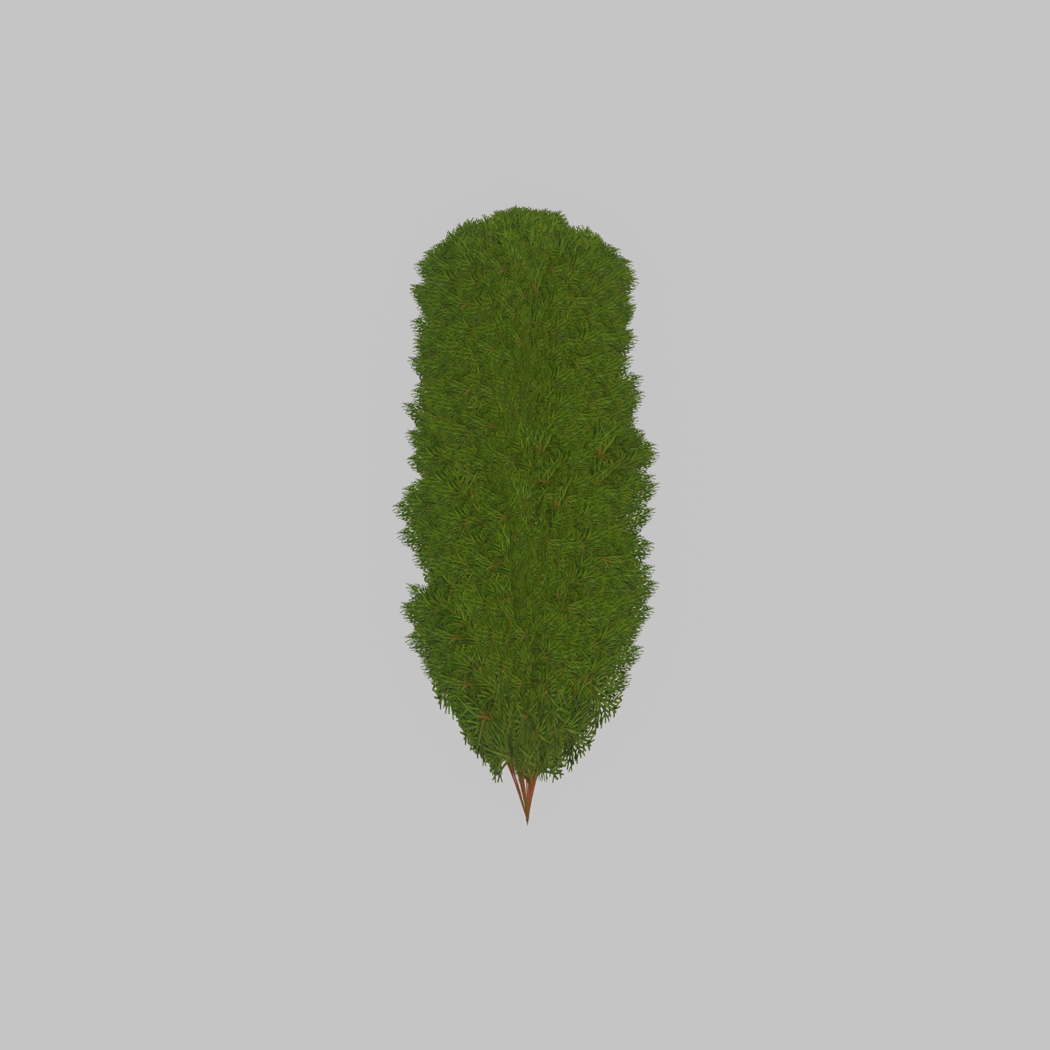 Mock cypress version-4 2000mm Low-poly 3D model_25