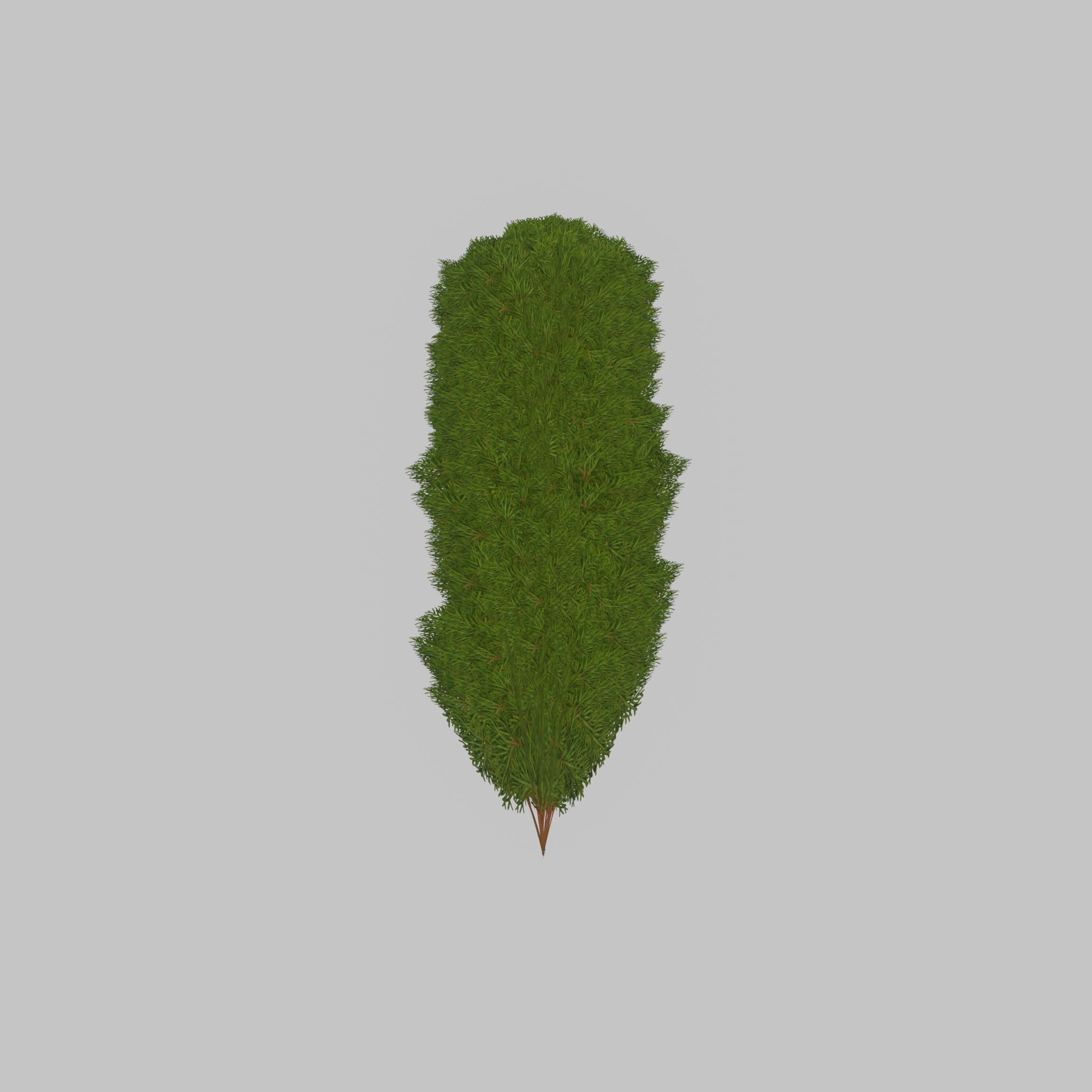 Mock cypress version-4 2000mm Low-poly 3D model_27