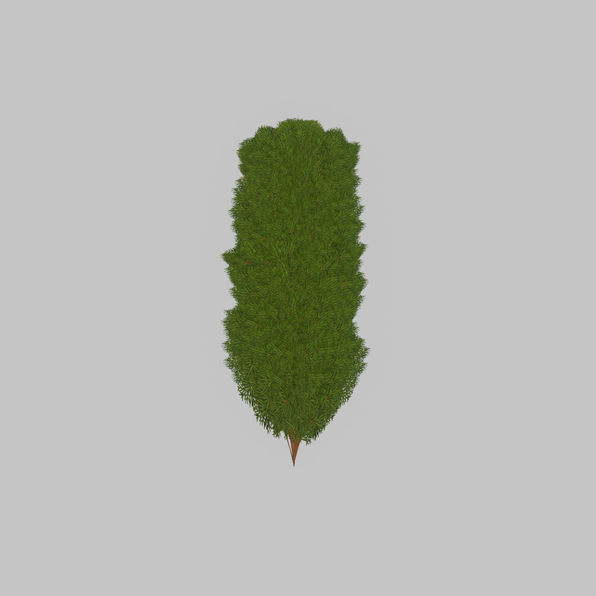 Mock cypress version-4 2000mm Low-poly 3D model_37
