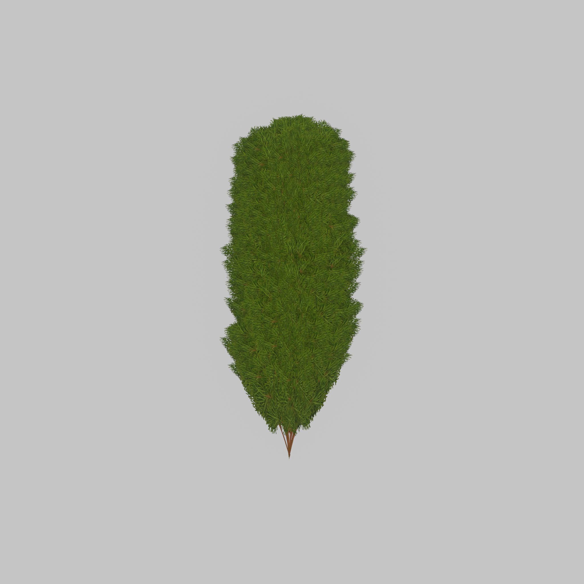 Mock cypress version-4 2000mm Low-poly 3D model_28