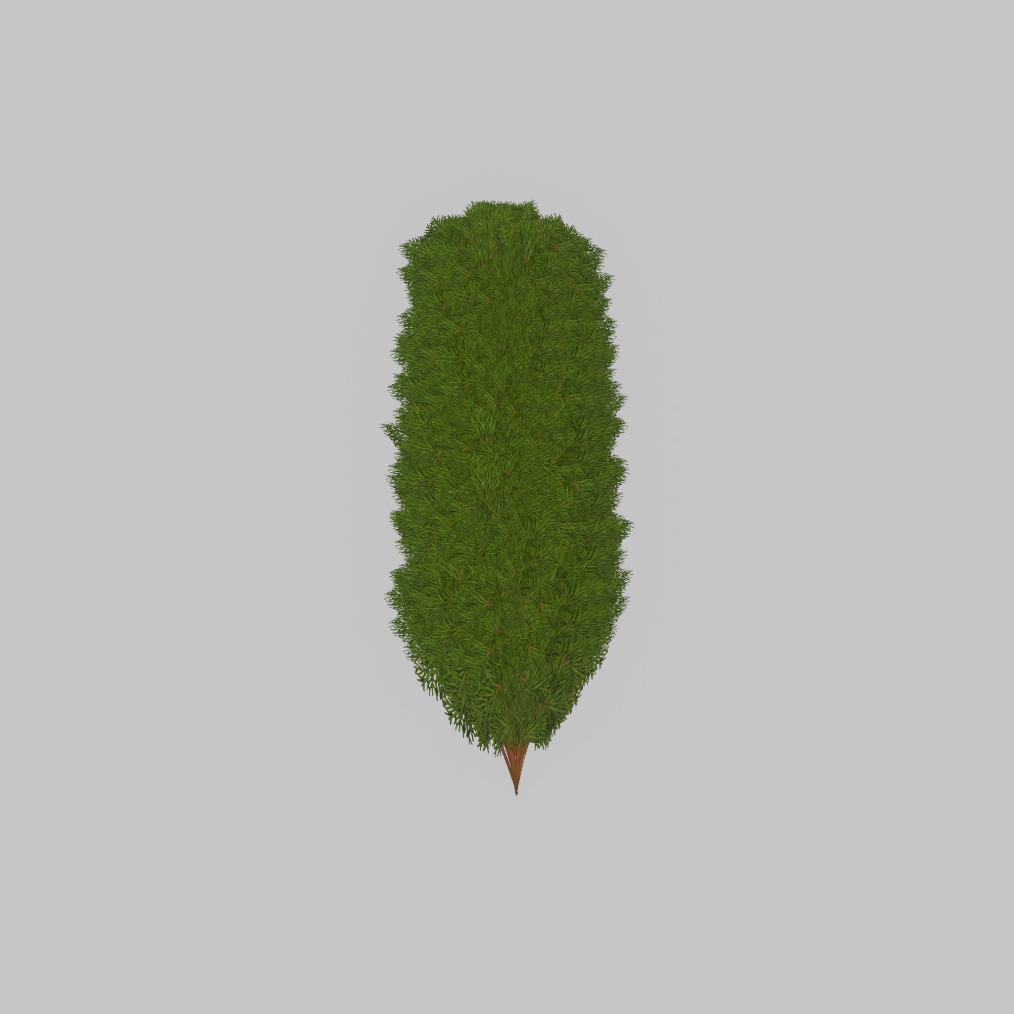 Mock cypress version-4 2000mm Low-poly 3D model_44