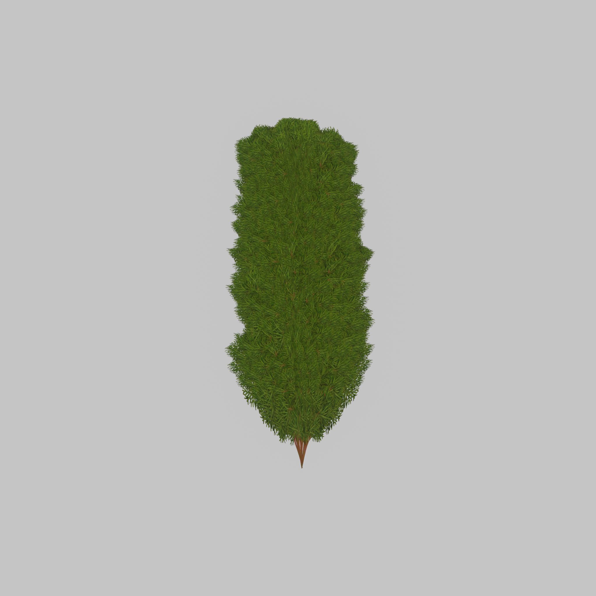 Mock cypress version-4 2000mm Low-poly 3D model_23