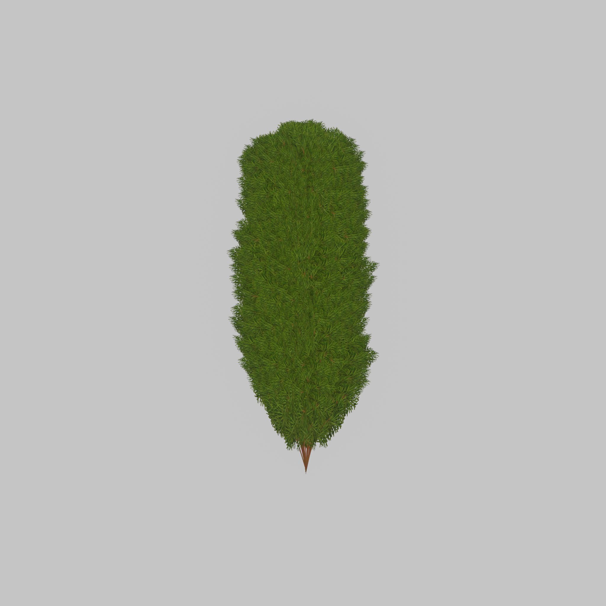Mock cypress version-4 2000mm Low-poly 3D model_40