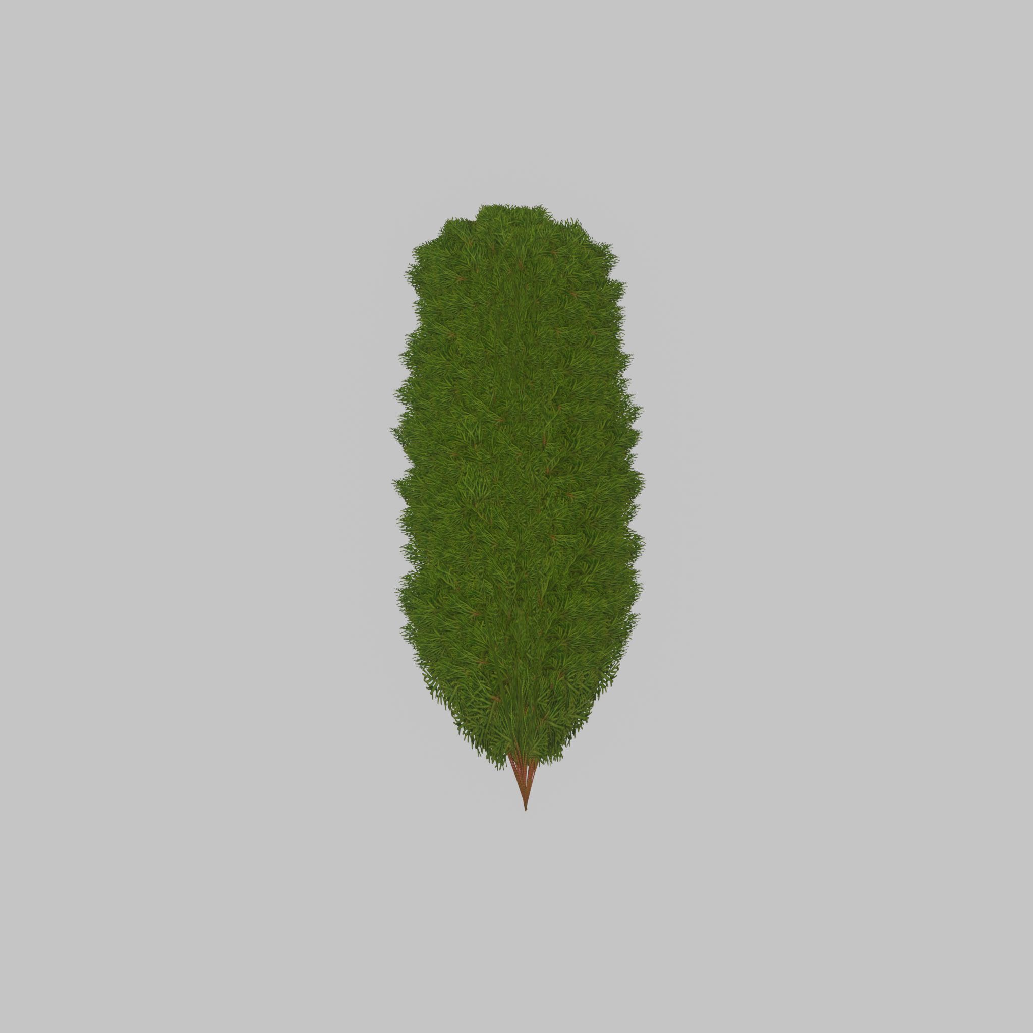 Mock cypress version-4 2000mm Low-poly 3D model_45