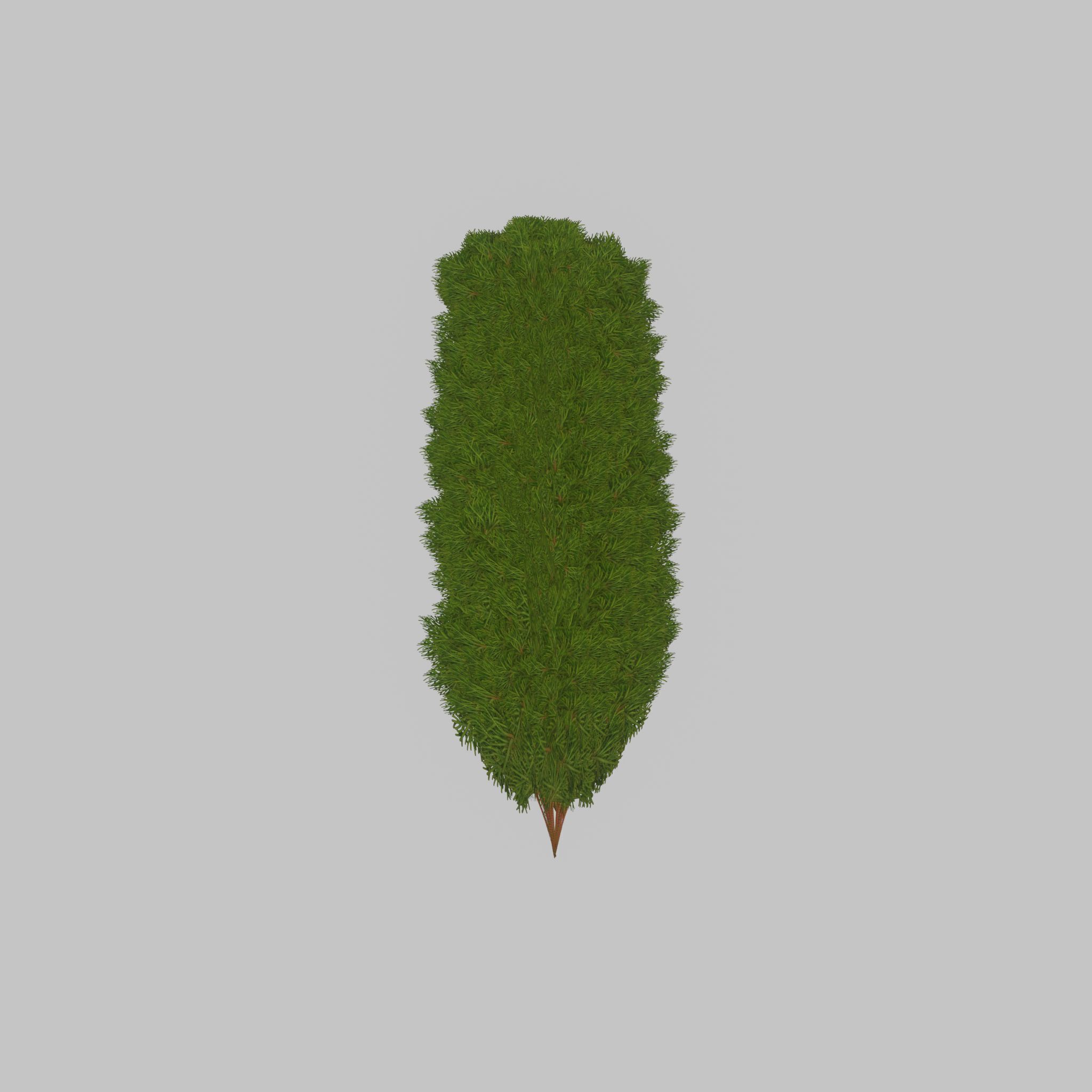 Mock cypress version-4 2000mm Low-poly 3D model_22