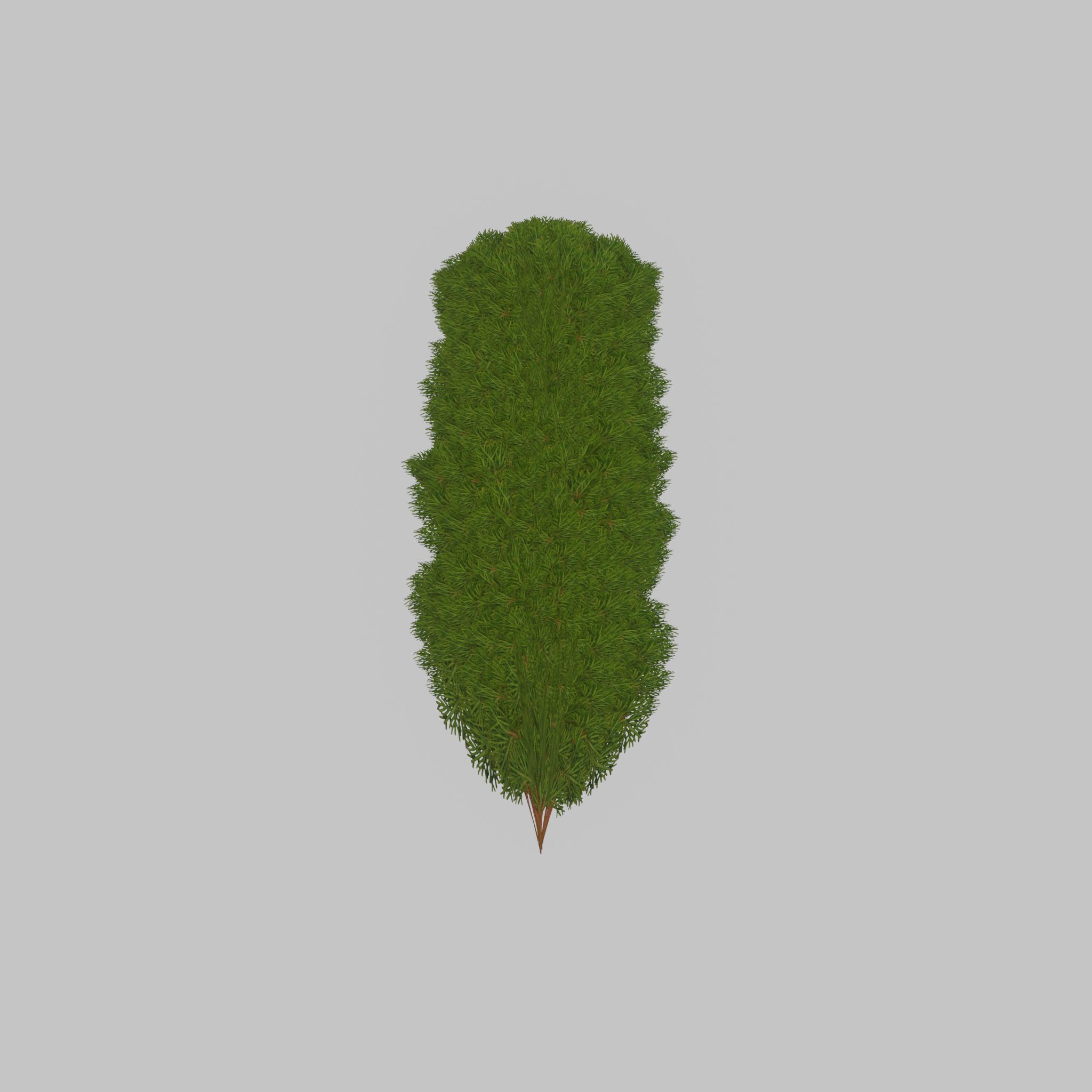 Mock cypress version-4 2000mm Low-poly 3D model_38