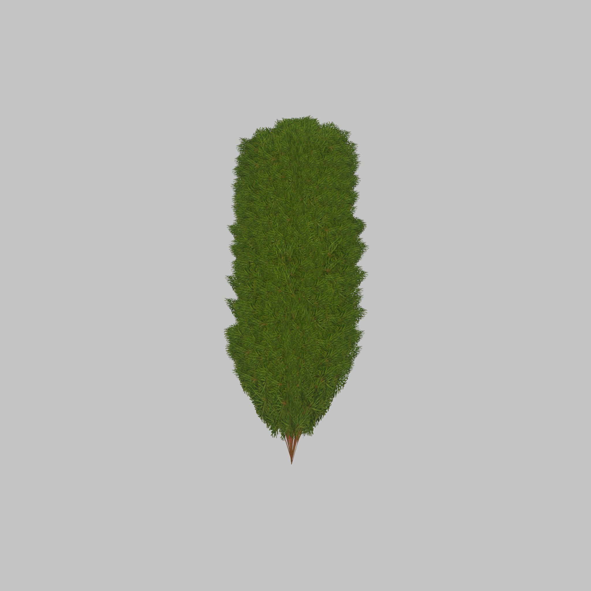 Mock cypress version-4 2000mm Low-poly 3D model_29