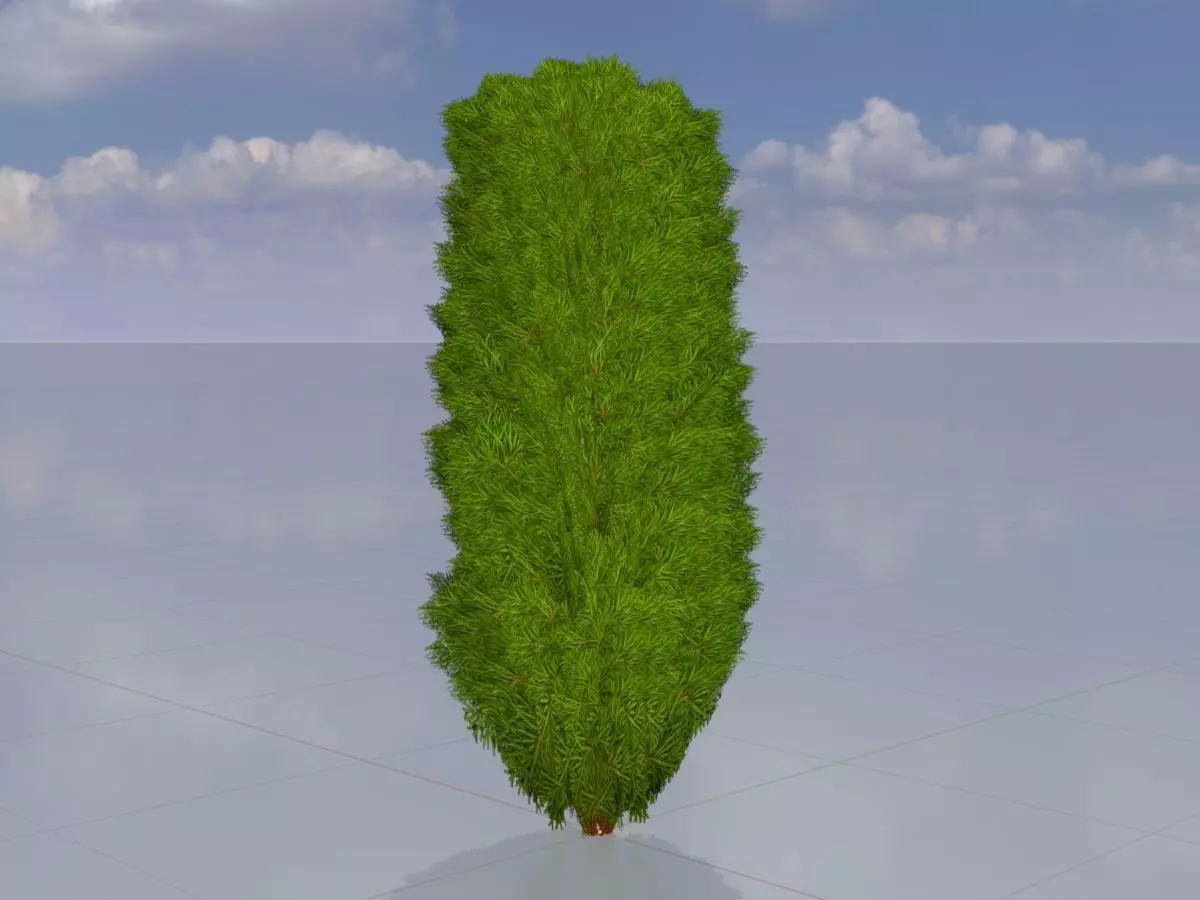 Mock cypress version-4 2000mm Low-poly 3D model_0
