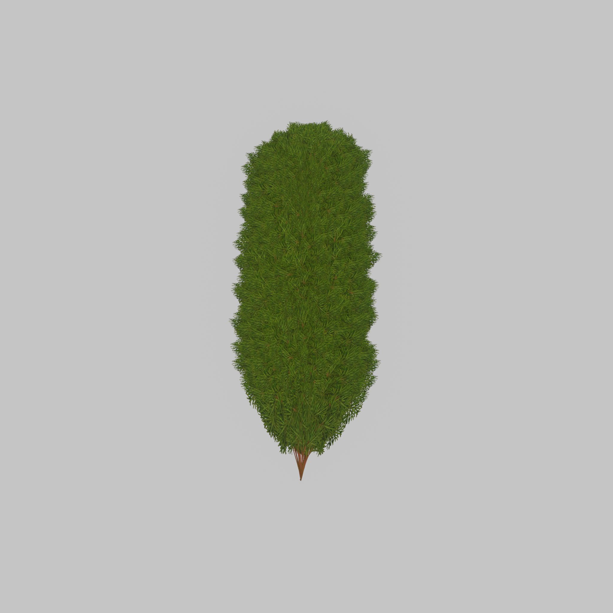 Mock cypress version-4 2000mm Low-poly 3D model_34