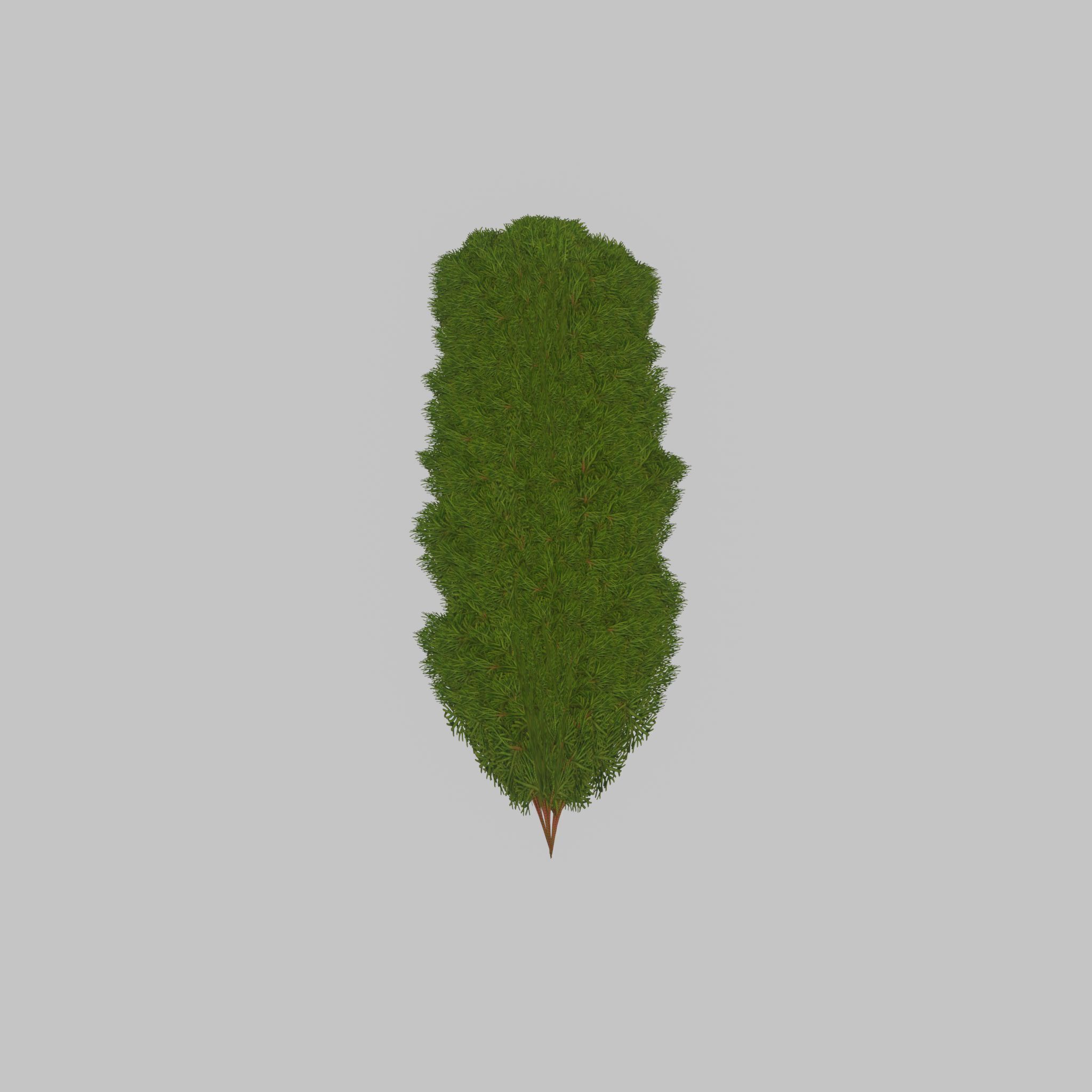 Mock cypress version-4 2000mm Low-poly 3D model_24