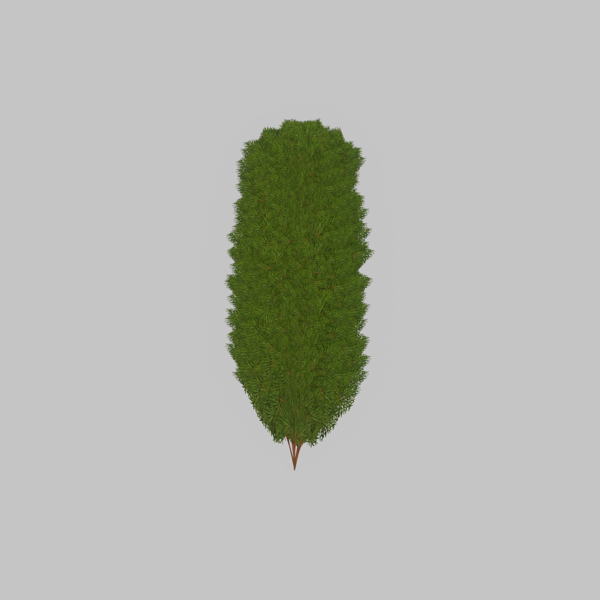 Mock cypress version-4 2000mm Low-poly 3D model_35