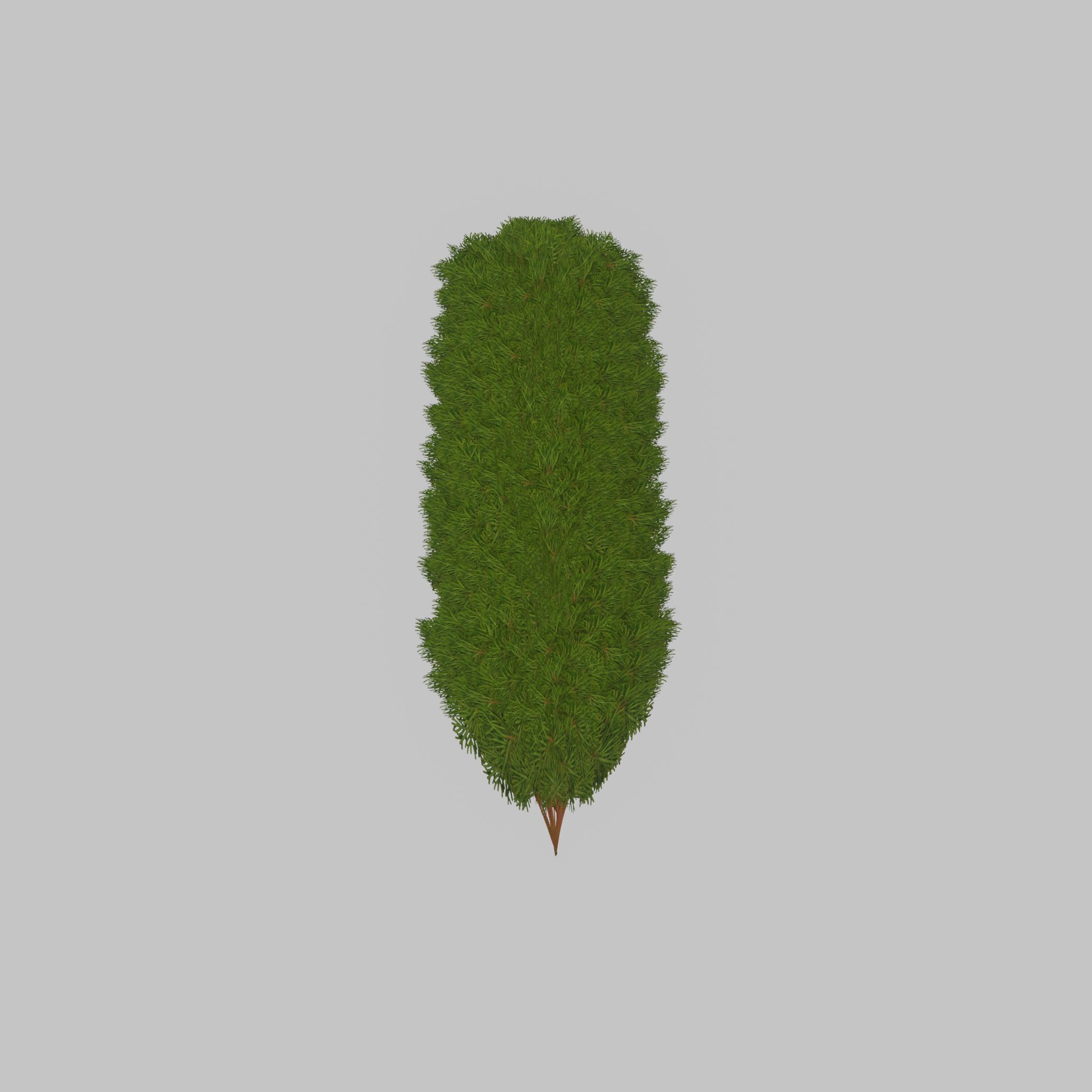 Mock cypress version-4 2000mm Low-poly 3D model_43