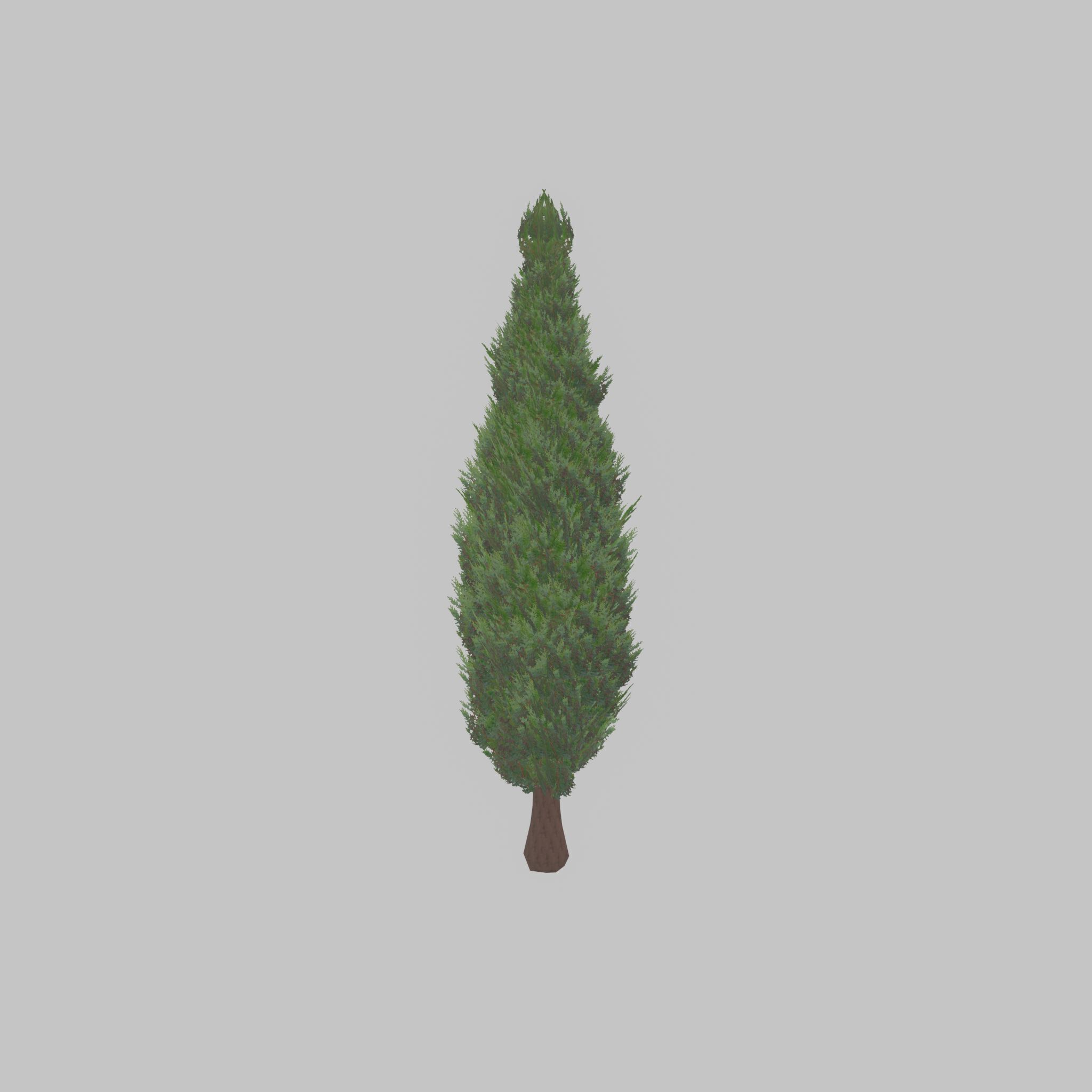 Mock cypress version-1 3000mm Low-poly 3D model_29