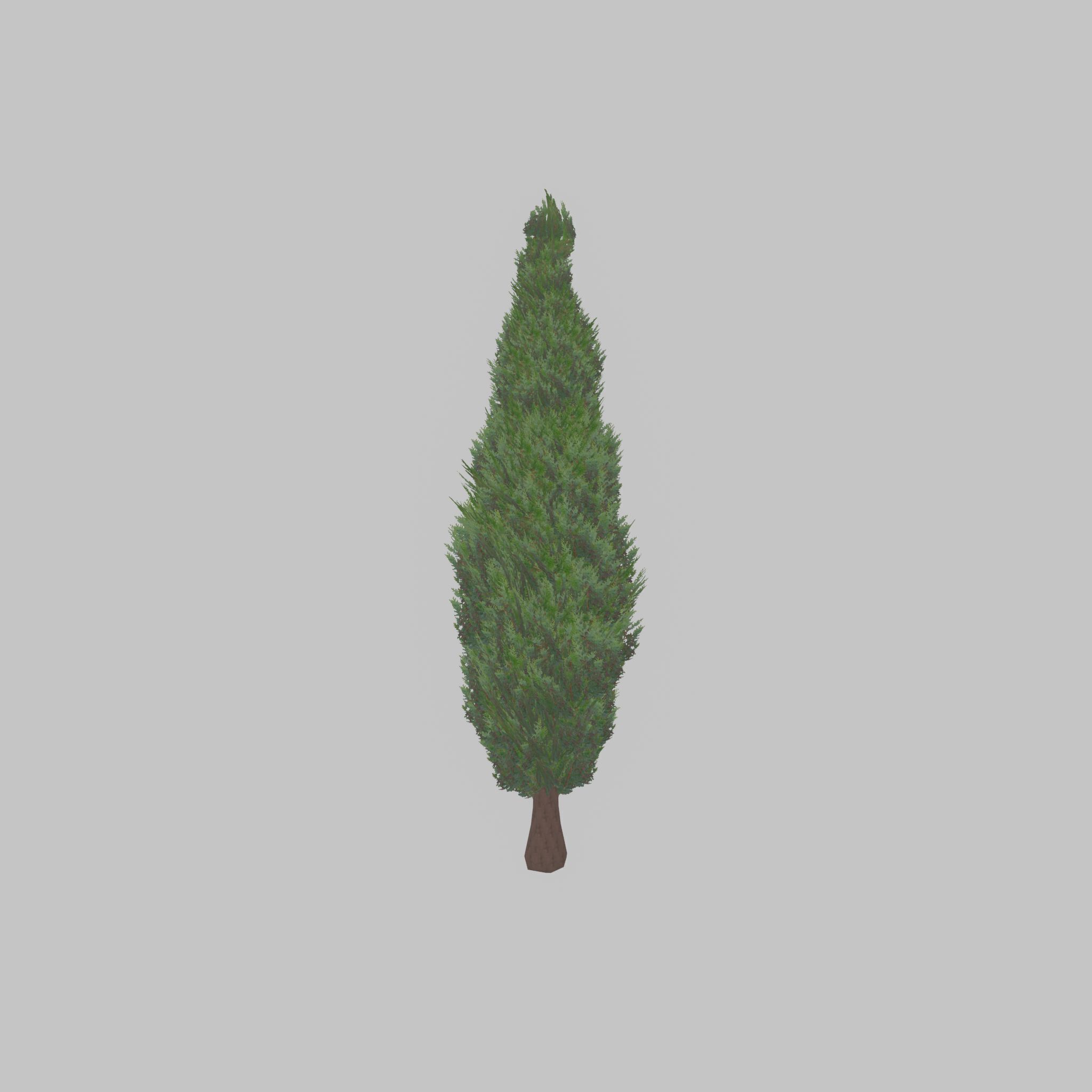 Mock cypress version-1 3000mm Low-poly 3D model_24