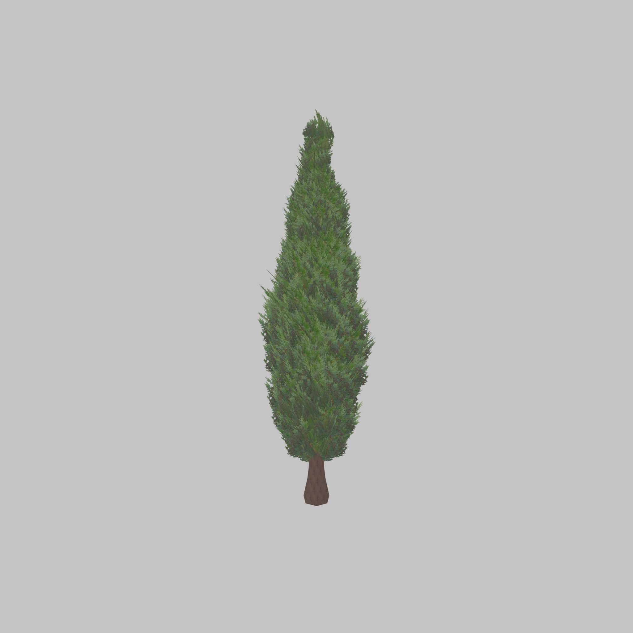 Mock cypress version-1 3000mm Low-poly 3D model_25