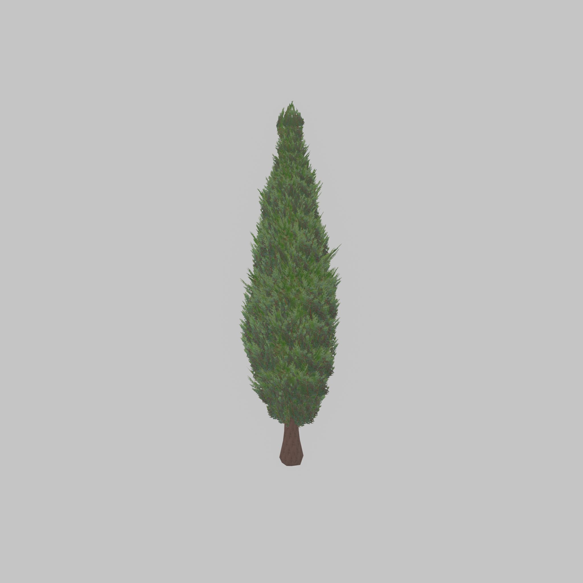 Mock cypress version-1 3000mm Low-poly 3D model_39