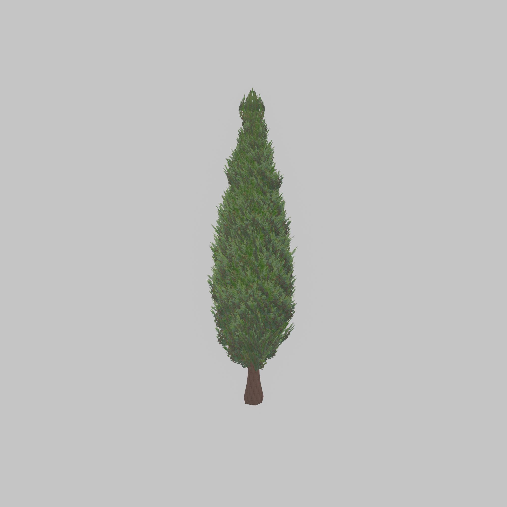Mock cypress version-1 3000mm Low-poly 3D model_30
